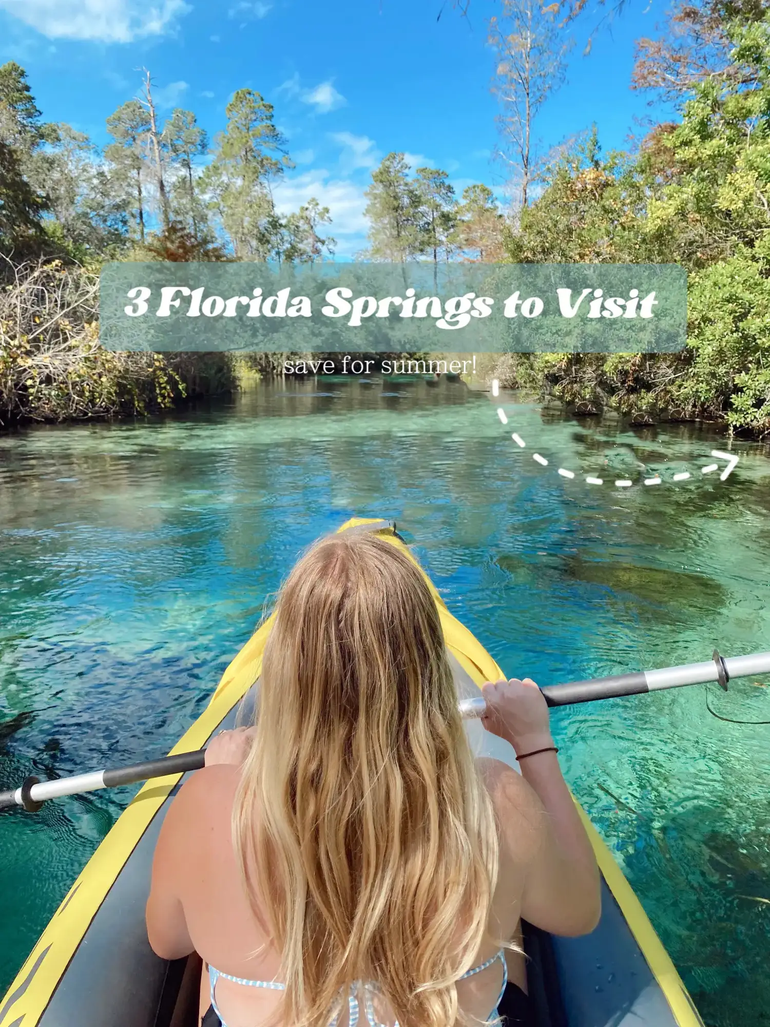 Florida Springs – Working to protect Florida's springs through