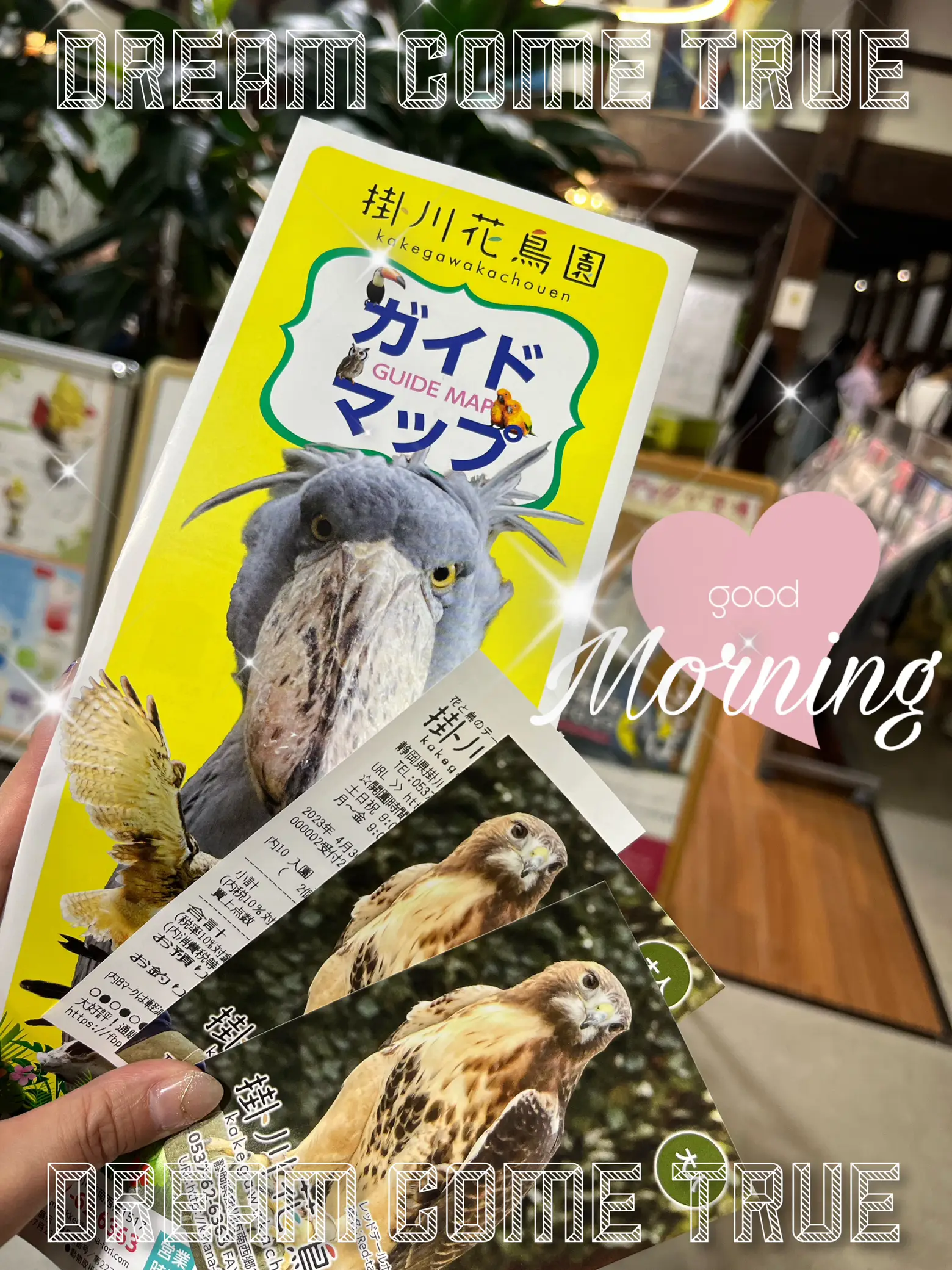 dream come true！！念願の掛川花鳥園   | My List♡...が投稿したフォトブック | Lemon8