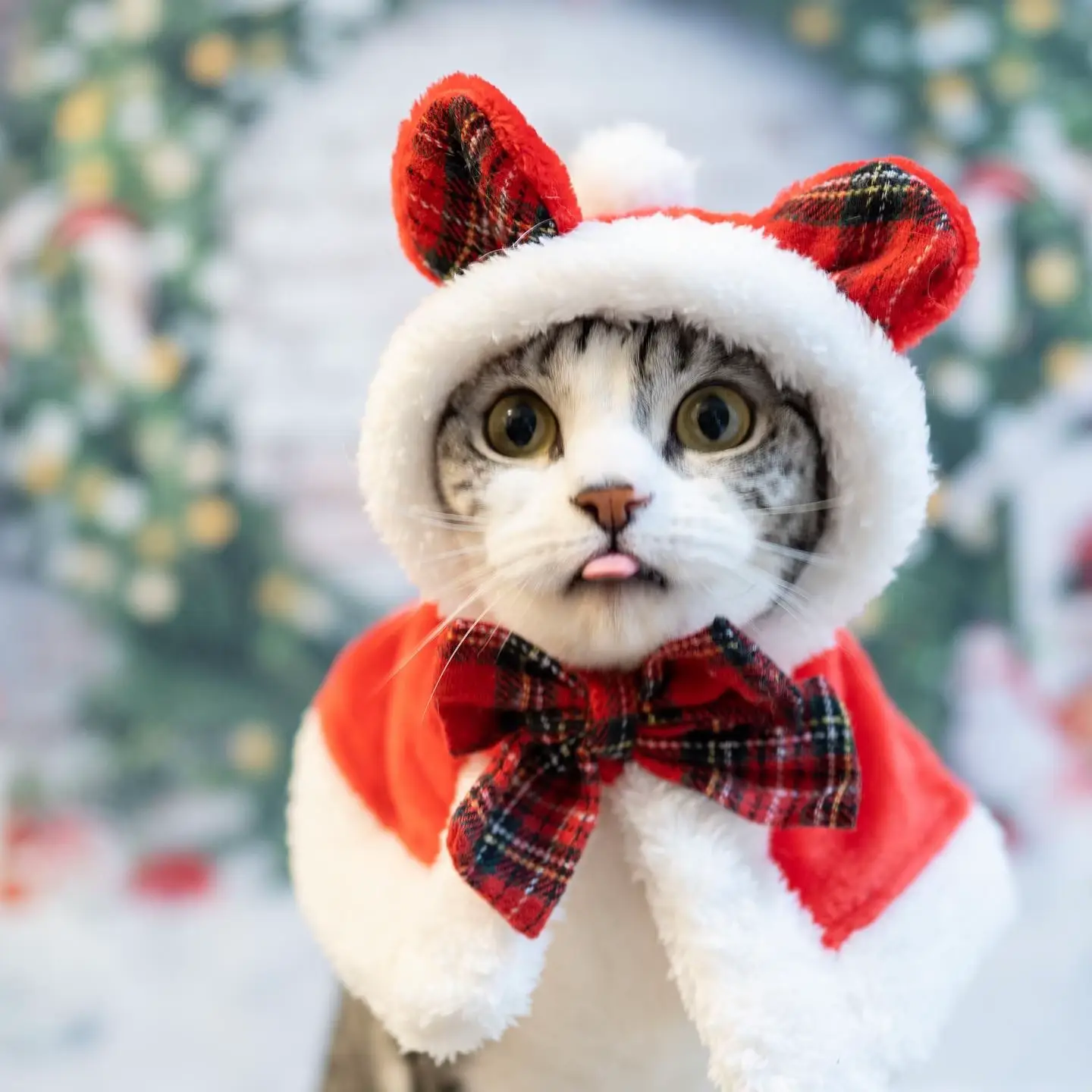 サンタさん🎅🏻🎄 | ことこゆ🐈猫のいる暮らしが投稿したフォトブック | Lemon8