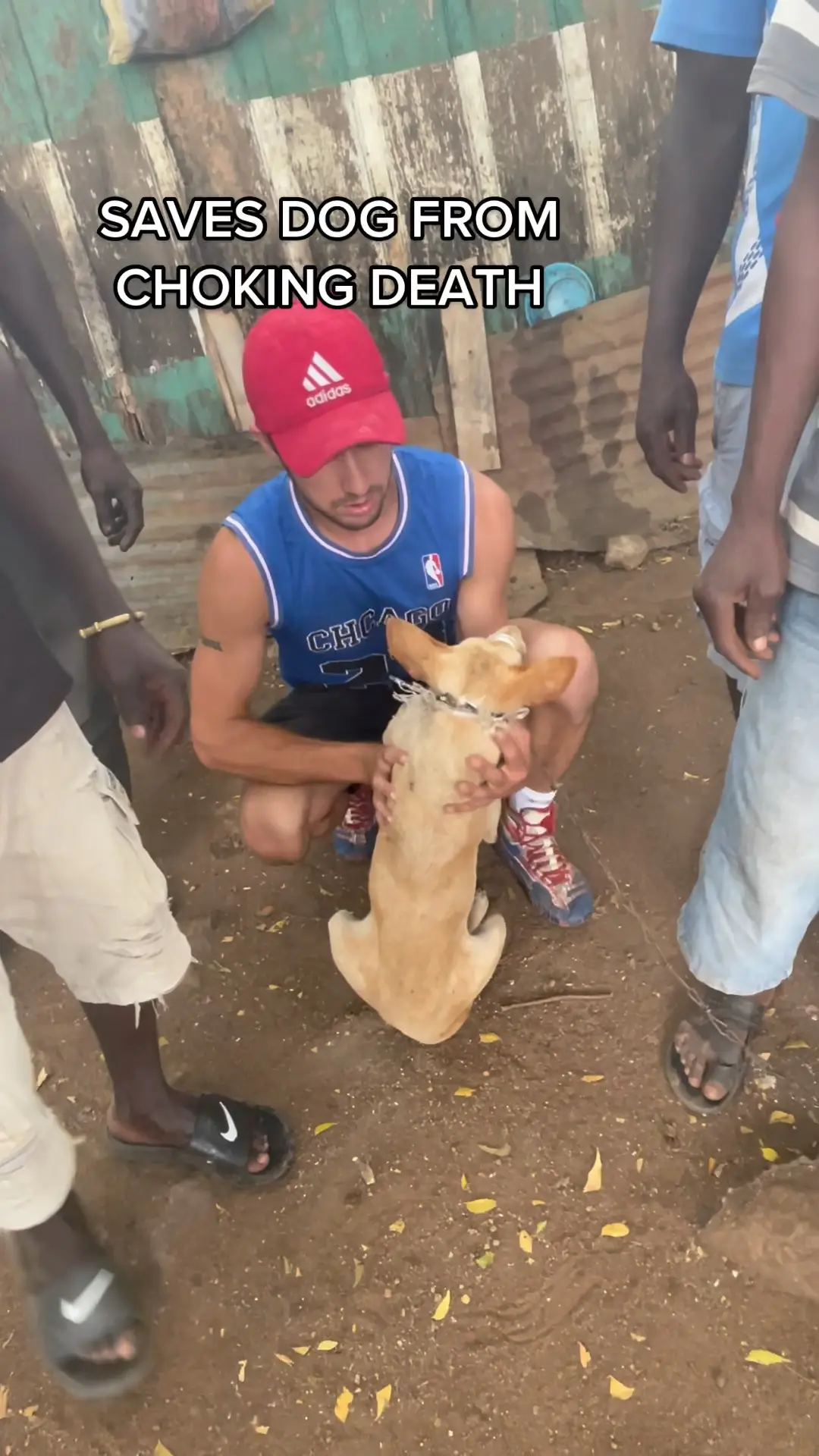 Breaking news man saves dog inspiring rescue fyp Video published by