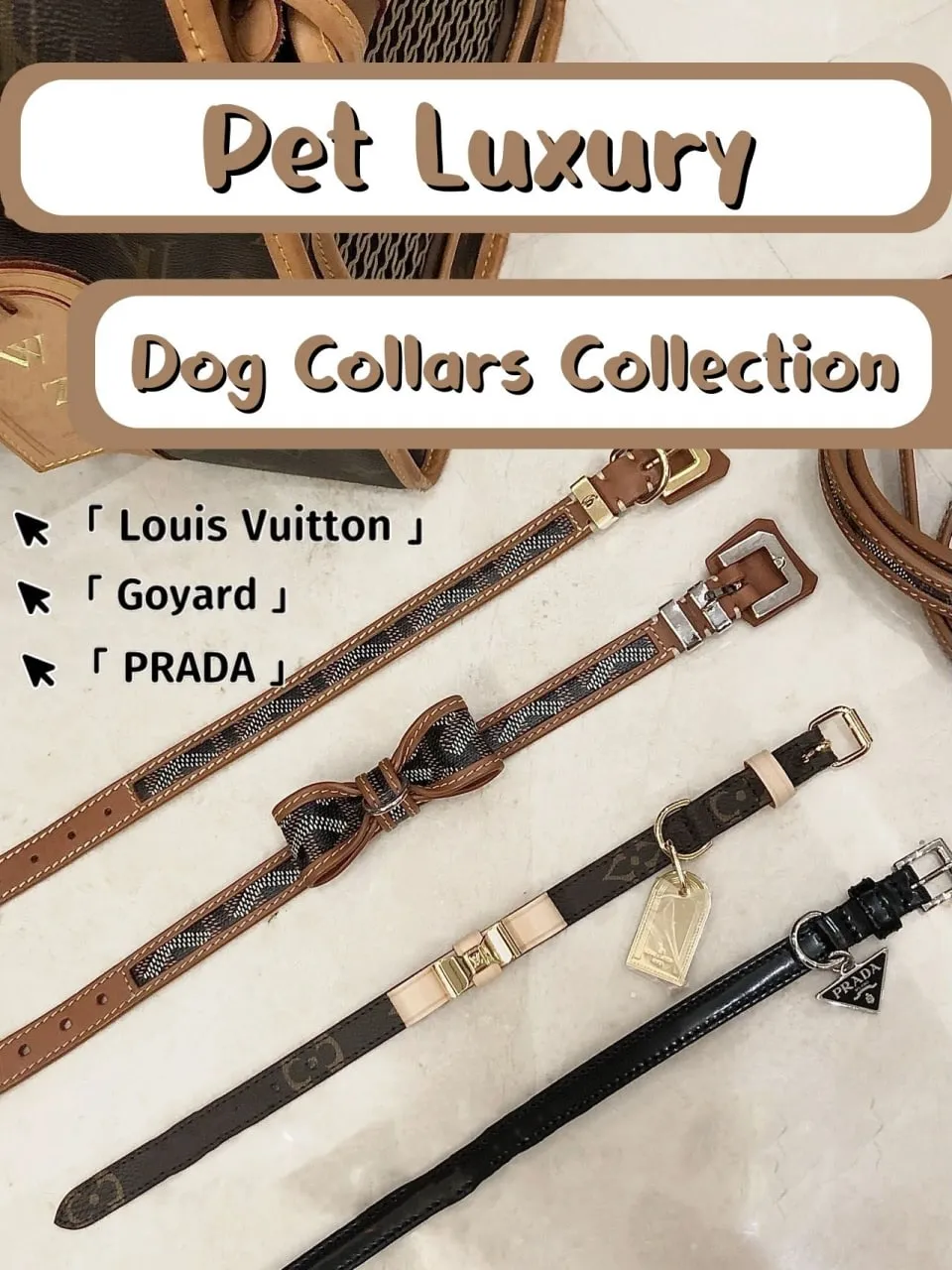 Designer Dog Collars: Luxury Collars For Your Pup – Bitch New York