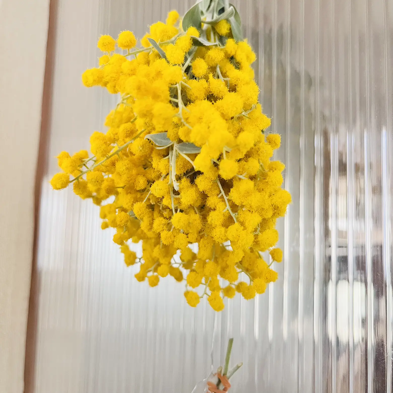 2023*✲゜* 春を告げる『幸せの花』ミモザ❁スワッグ *✲゜*ドライフラワー