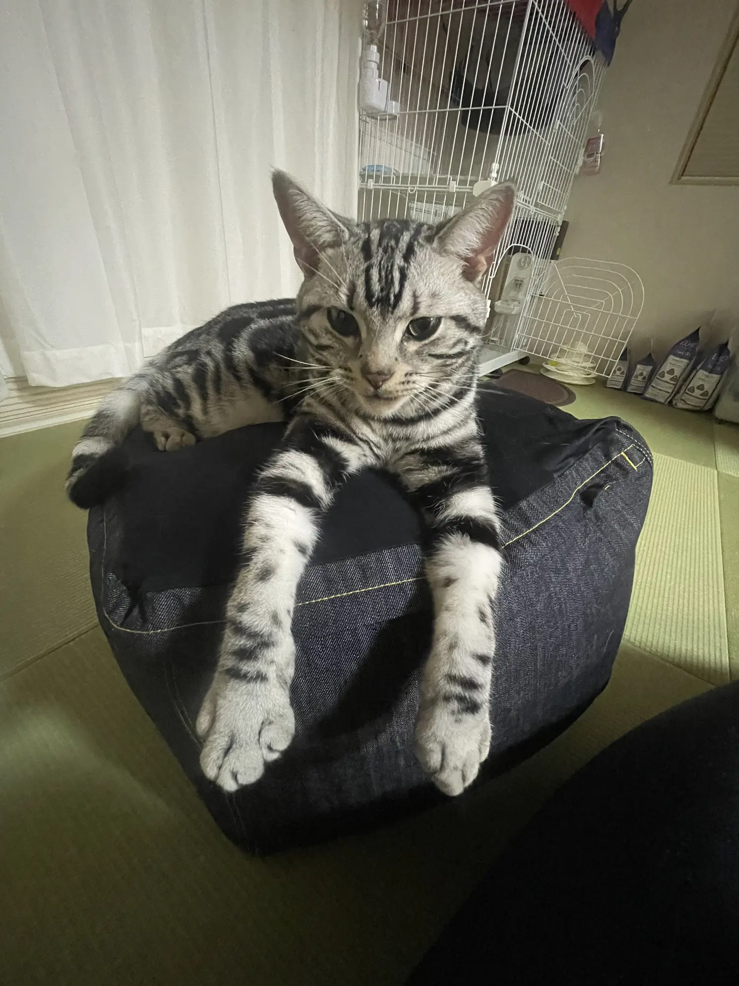 福袋 オンライン まろ⭐︎断捨離中さま専用 ビーズクッション2 支払える ビーズクッション・クッションソファ