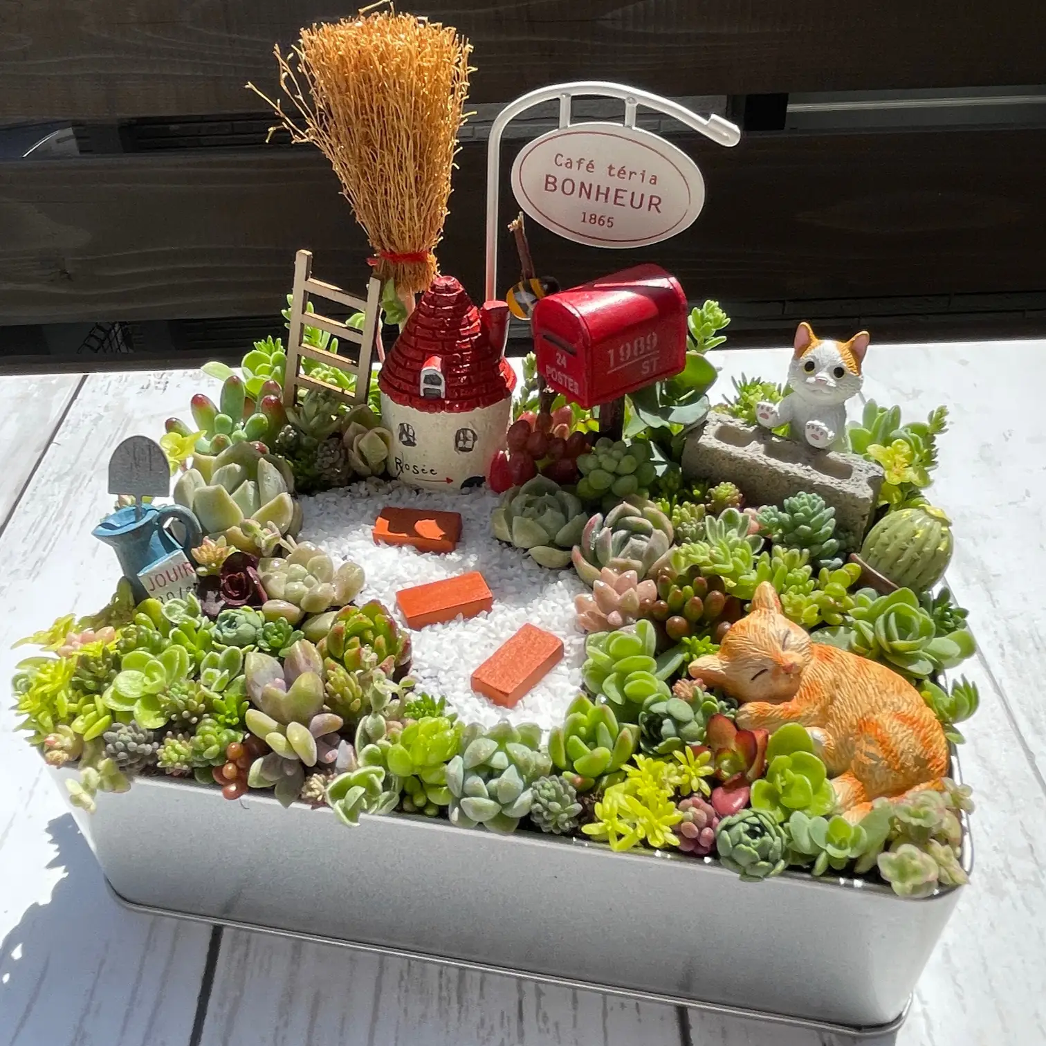☆多肉植物 寄せ植え〜食いしん坊にゃんこのキッチン風寄せ〜☆