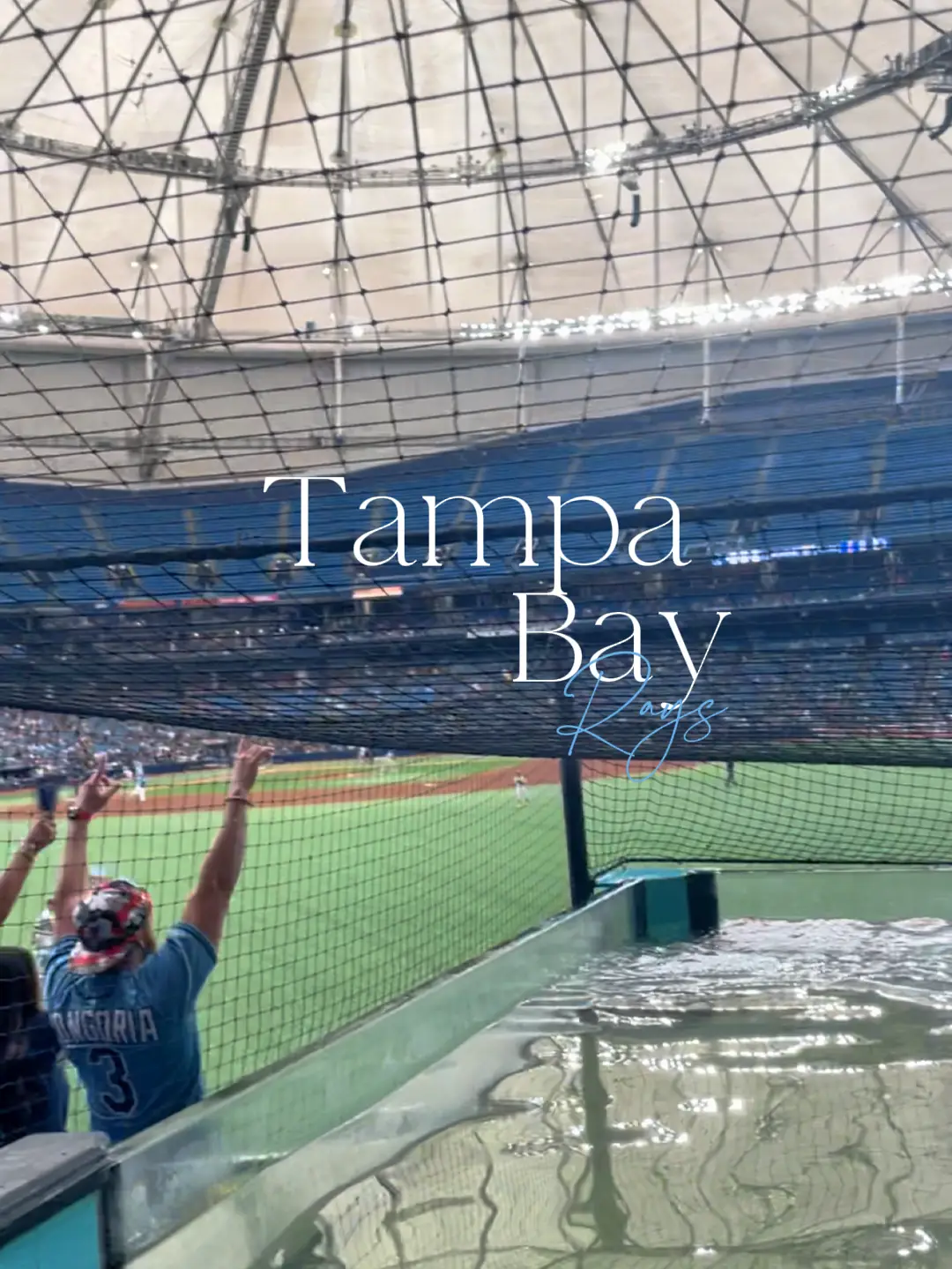 Tampa Bay Rays @ Tropicana Field, Video published by Loren