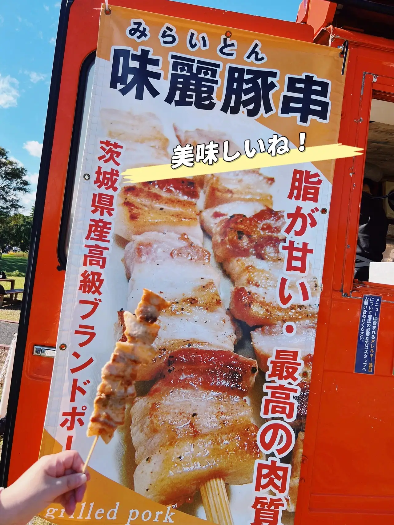 あちゃそ様確認用❁⃘*.゜ 真っ当