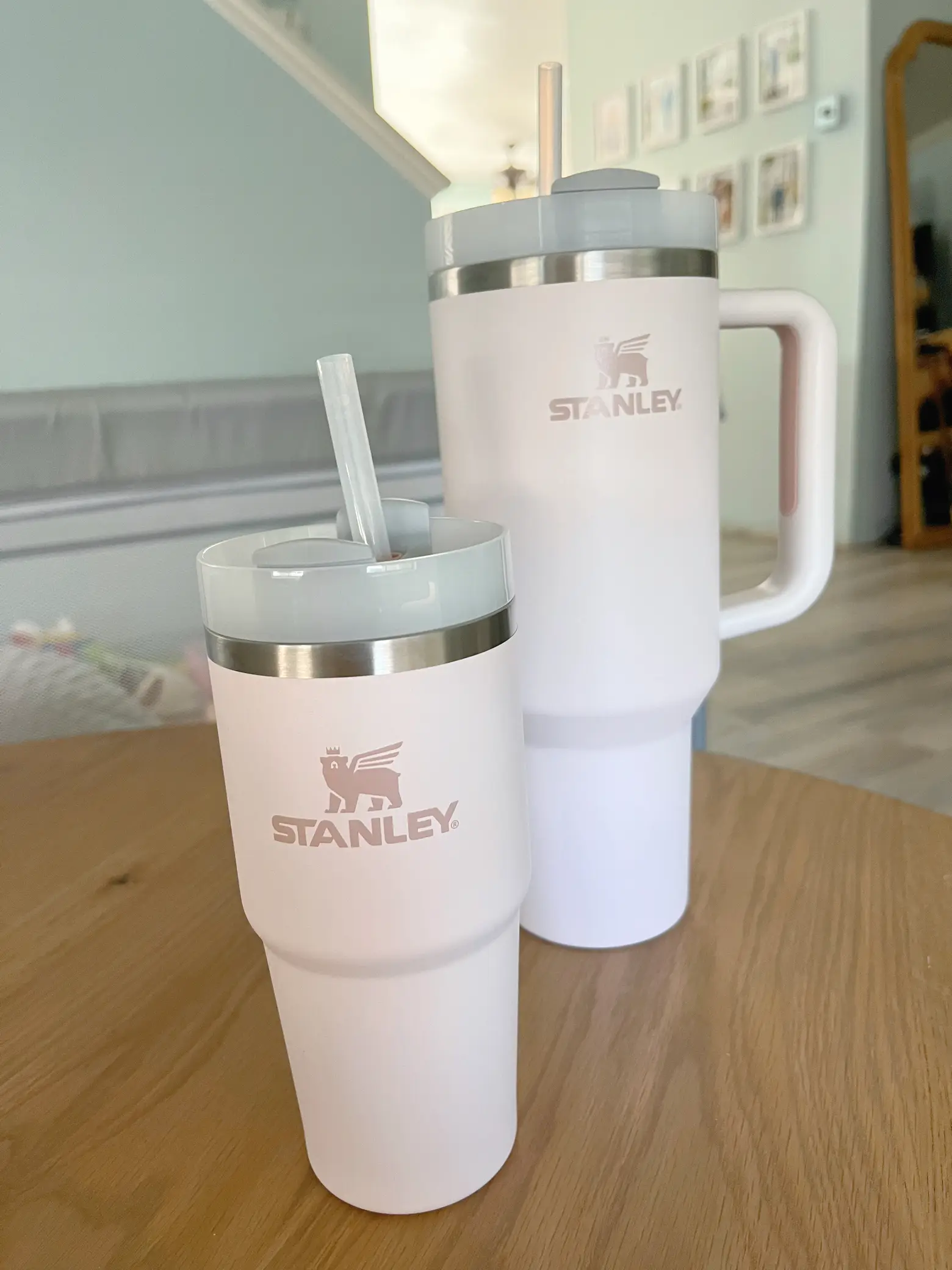 I'm a #SimpleModern girl but I couldn't pass on the 14oz #Stanley
