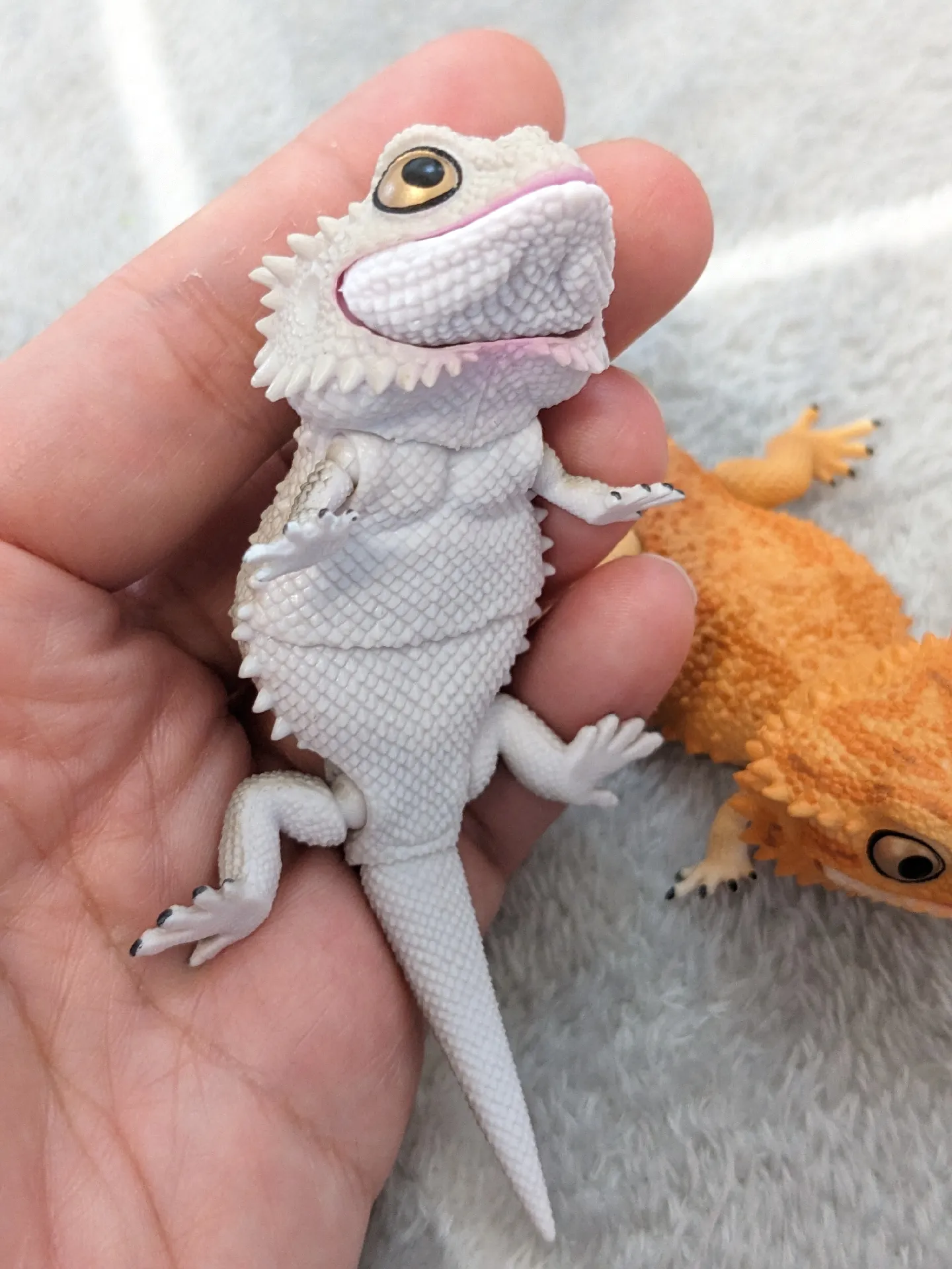 フトアゴヒゲトカゲのガチャ♥ | うにすけのいえが投稿したフォト 