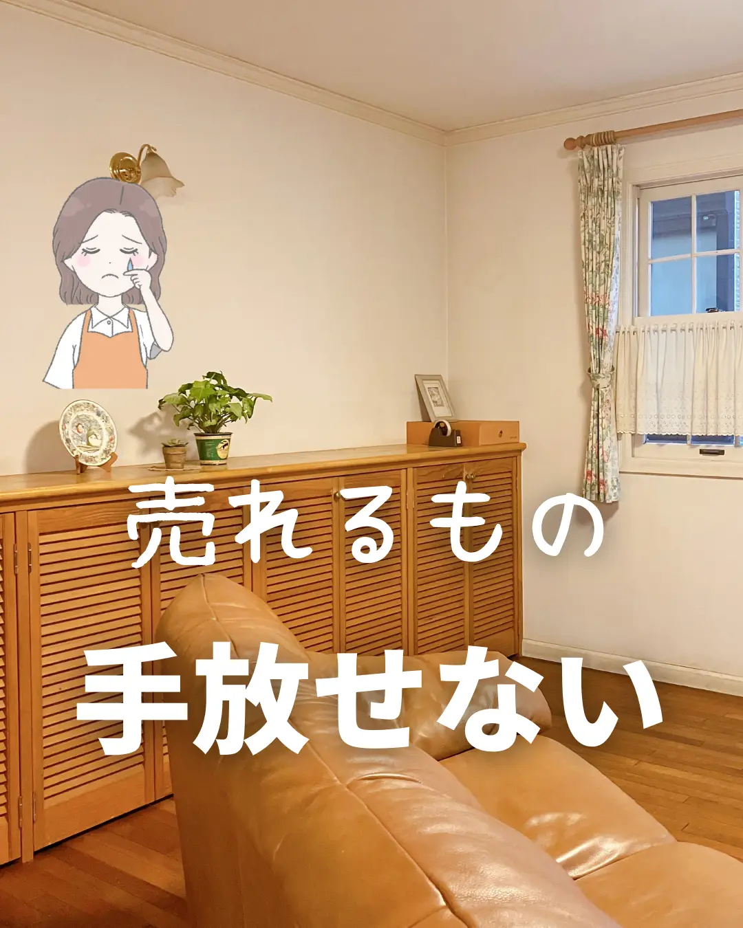 可愛い、キレイだけではない！売れる写真の撮り方セミナーＤＶＤ(2枚組み)