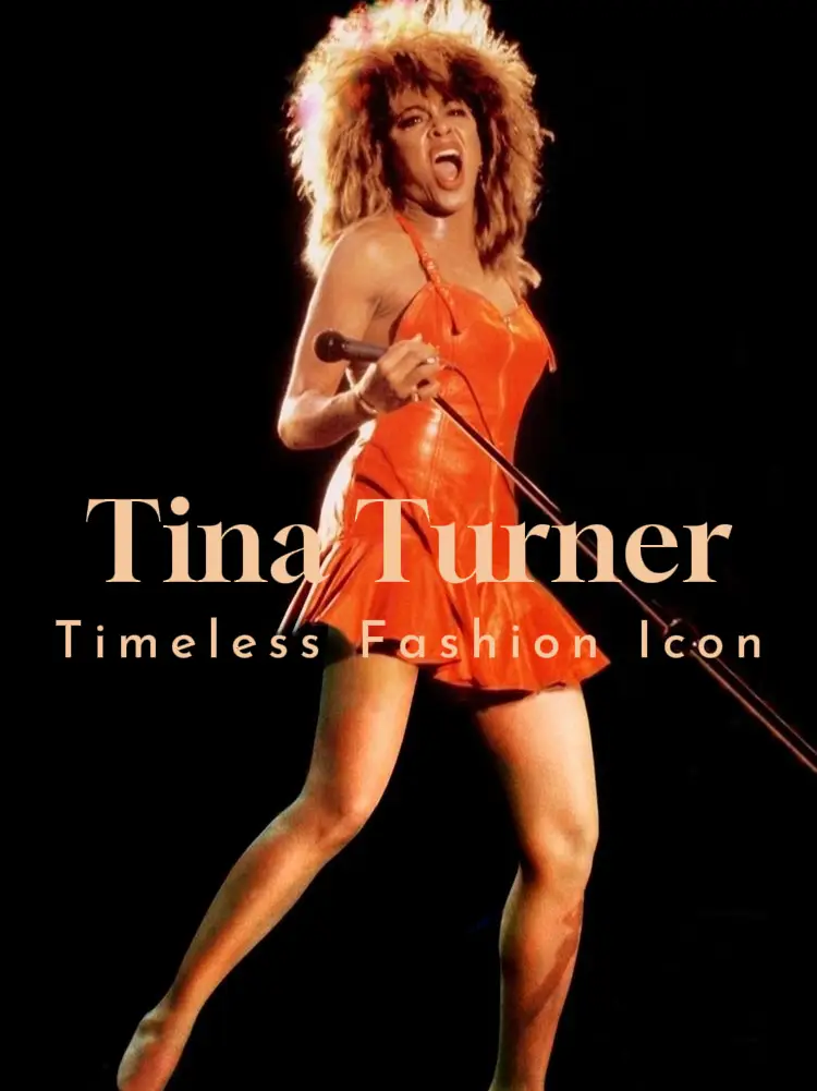 Tina turner red dress costume sale