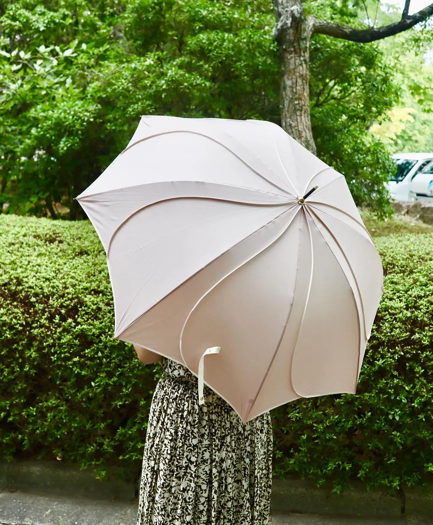 傘　雨降り用　2本セット　ピンク
