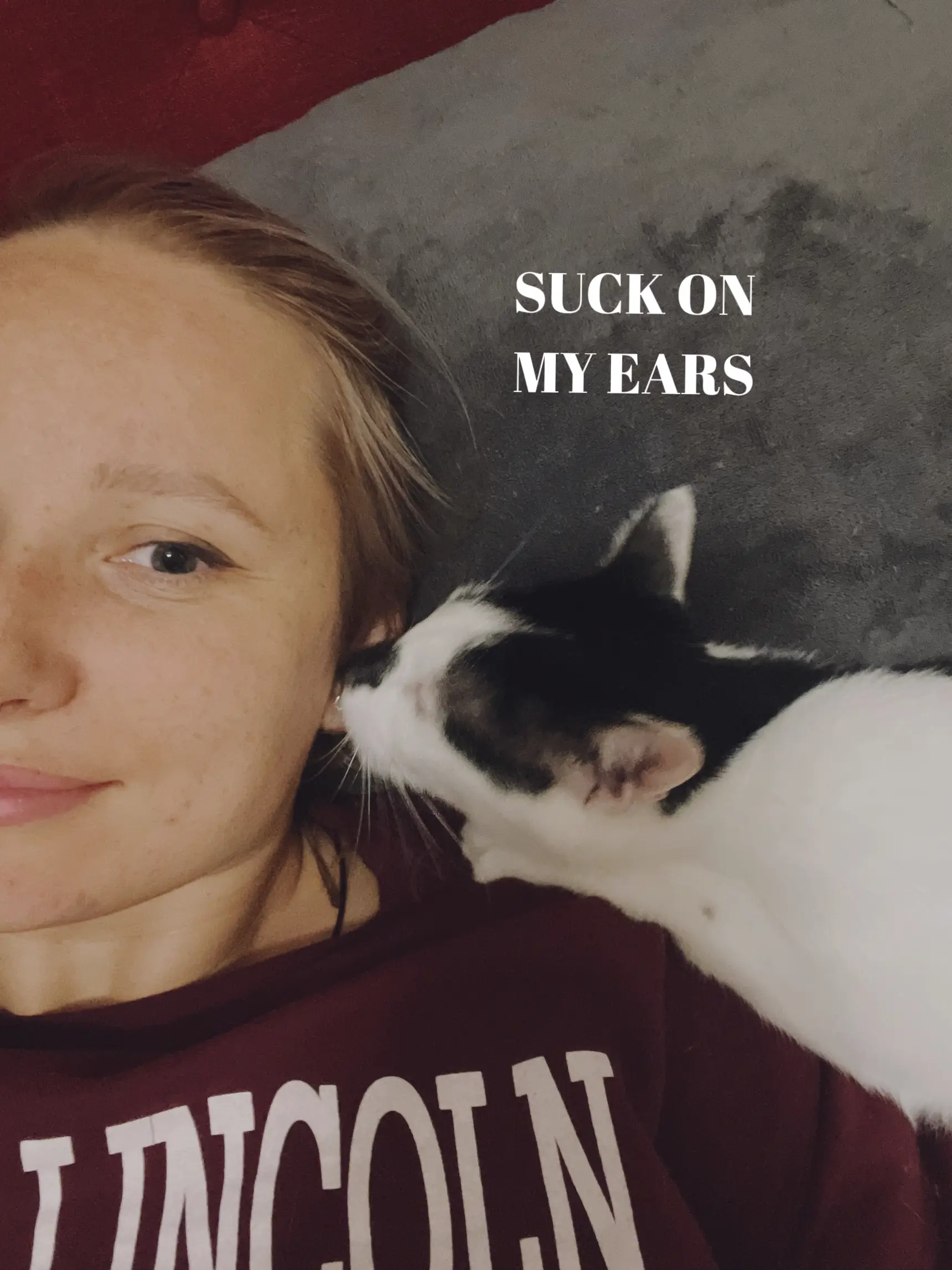 What are the ways that your cat or dog annoys you? แกลเลอรีที่โพสต์