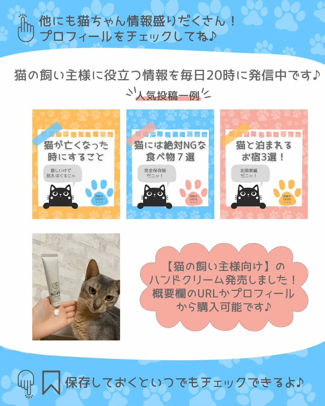 あなたの猫はいる？】日本猫の種類7選 | ねこすたぐらむ🐾猫好きさんが 