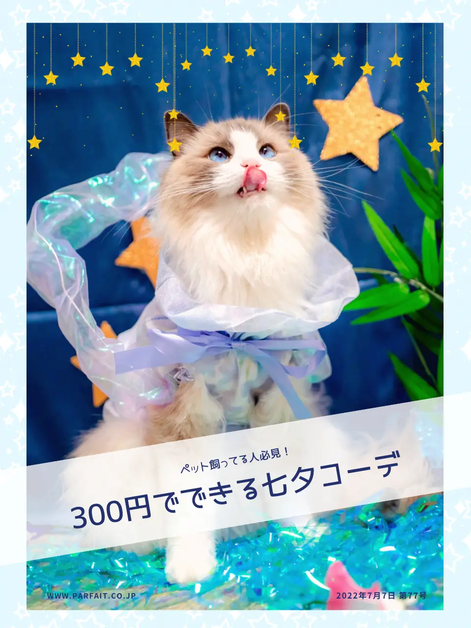 DAISOハンドメイド】5分！300円で作れる！超簡単七夕わんにゃんコスプレ🎋 | ぱるのえ♡北海道で暮らす犬と猫が投稿したフォトブック |  Lemon8