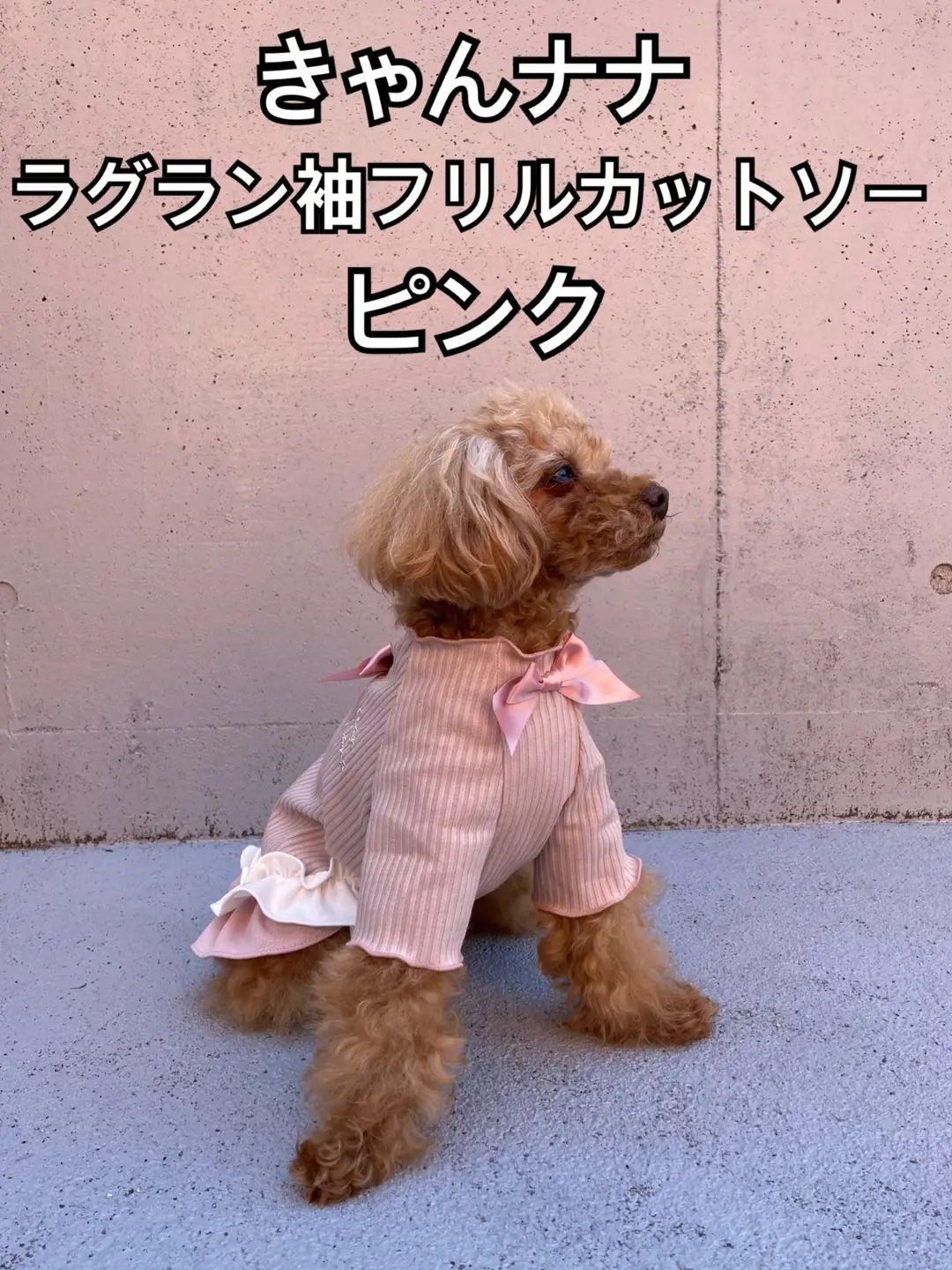 ⭐︎犬服⭐︎handmade ラグラン