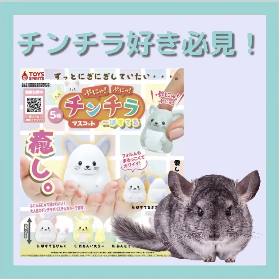 ♡新作♡ マシュマロちゃん チンチラちゃん 持ち歩き