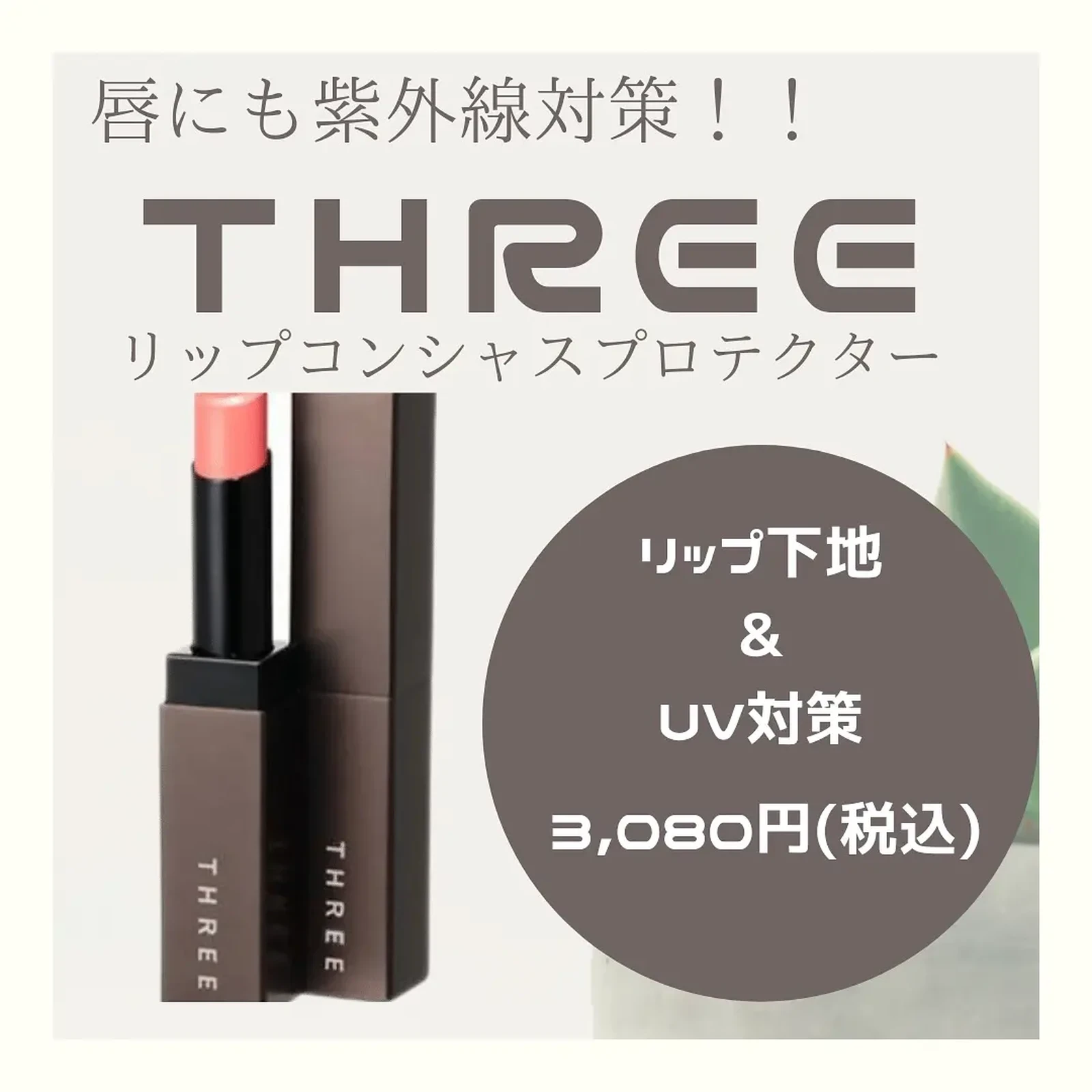 SPF35のリップ下地💋THREE リップコンシャスプロテクター | よめちゃん