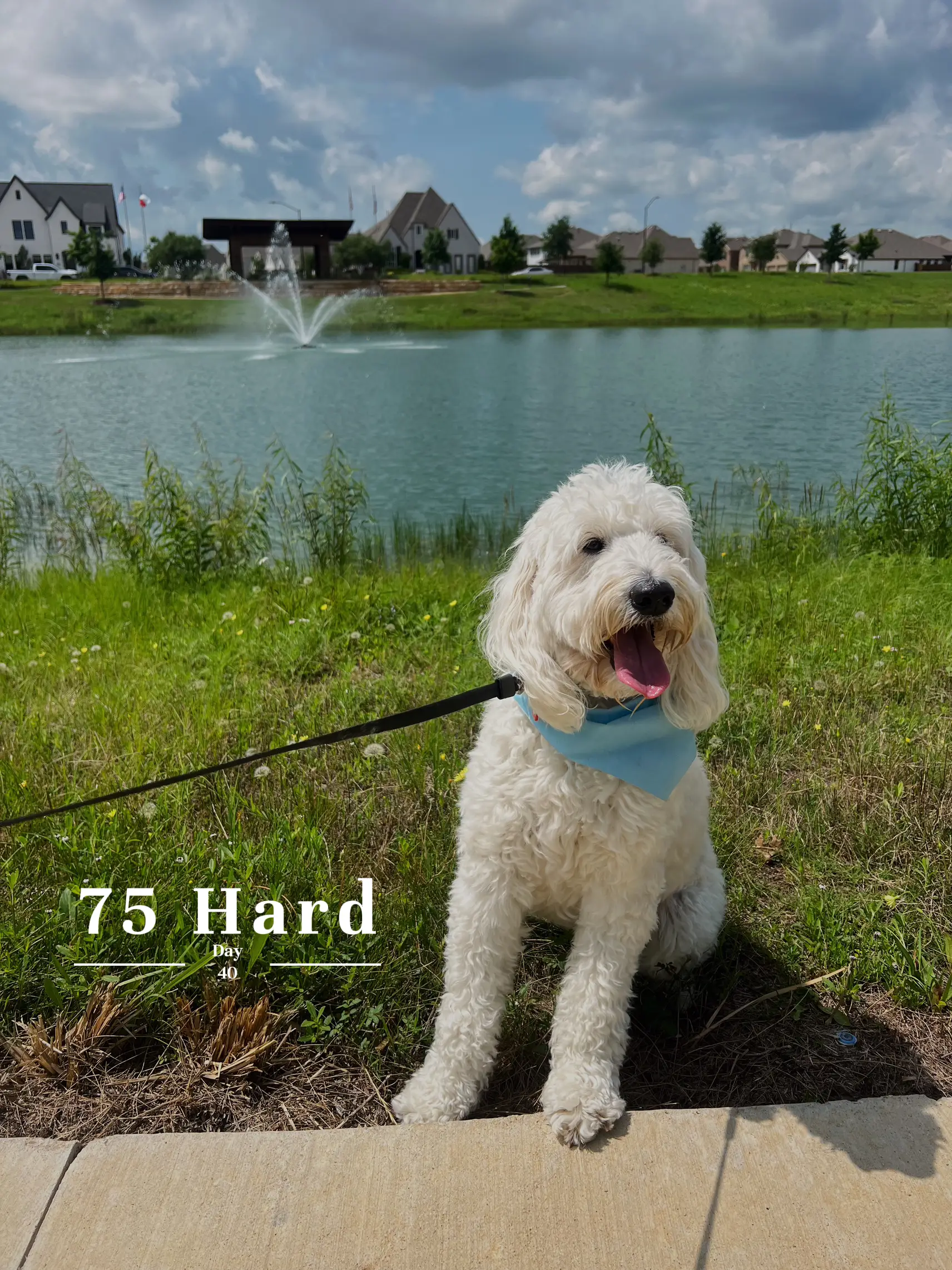 75-hard-day-40-gallery-posted-by-lauren-cottrell-lemon8