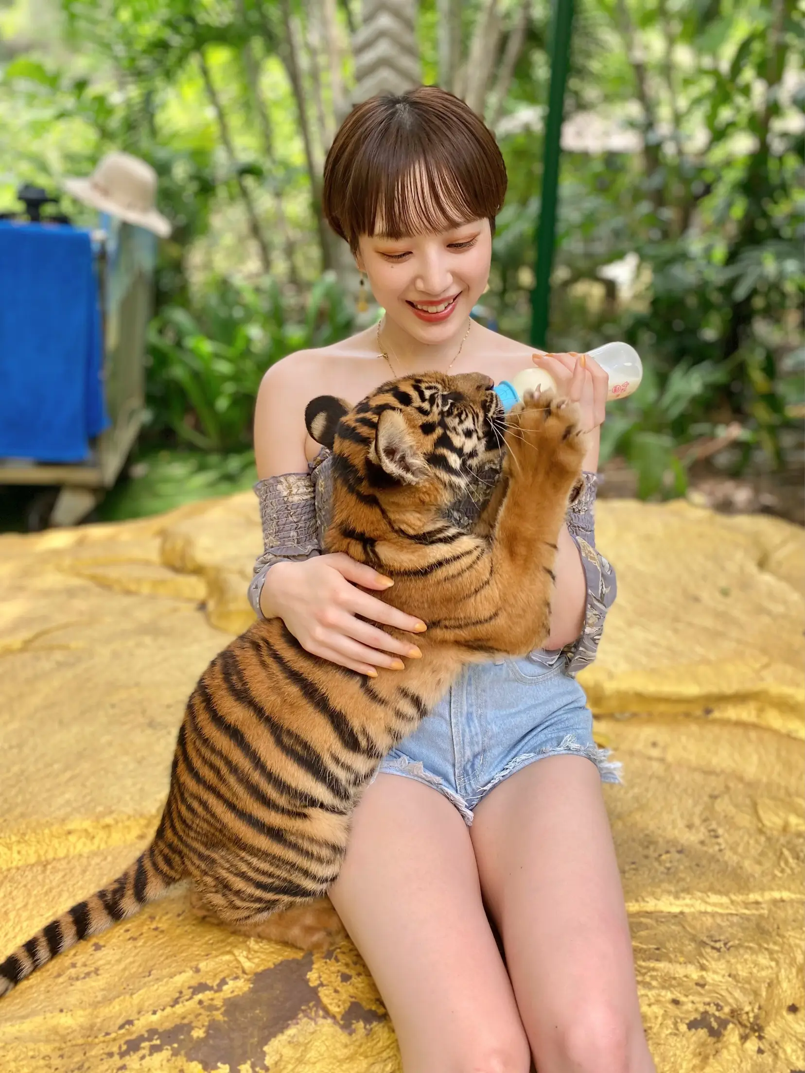 🌟【📍サファリワールド】虎の赤ちゃんと触れ合い🐯🍼 | 尾台彩香【旅行✖️グルメ】が投稿したフォトブック | Lemon8