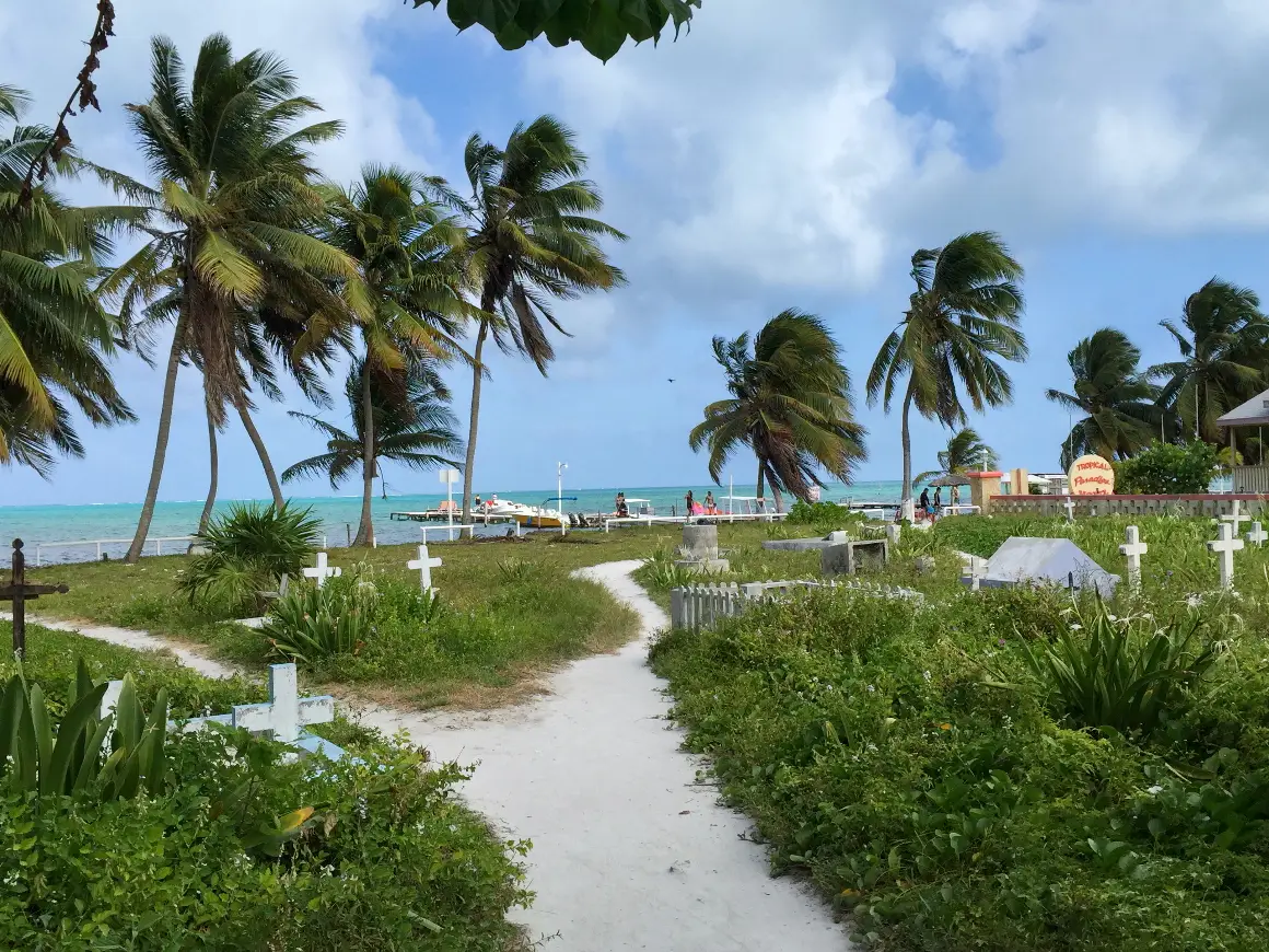 Best part of Caribbean Spearfishing is not wearing a wetsuit. Caye Caulker  🇧🇿 : r/Spearfishing