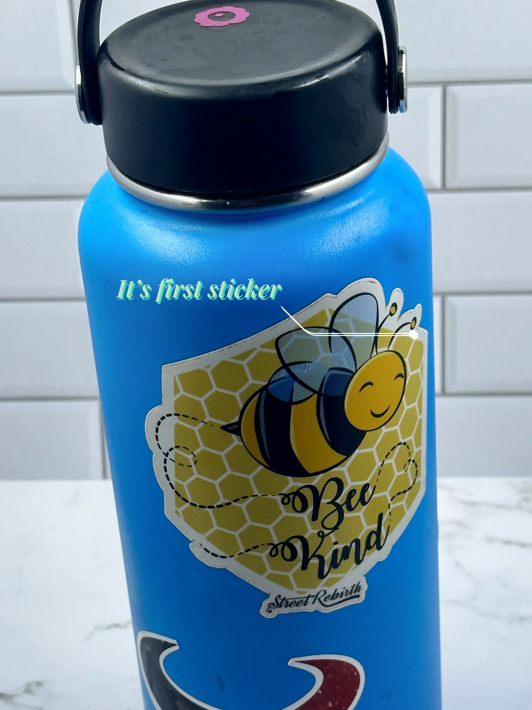 8 Reasons I Will Not Betray My Hydro Flask for a Stanley Cup – The Viking  Times