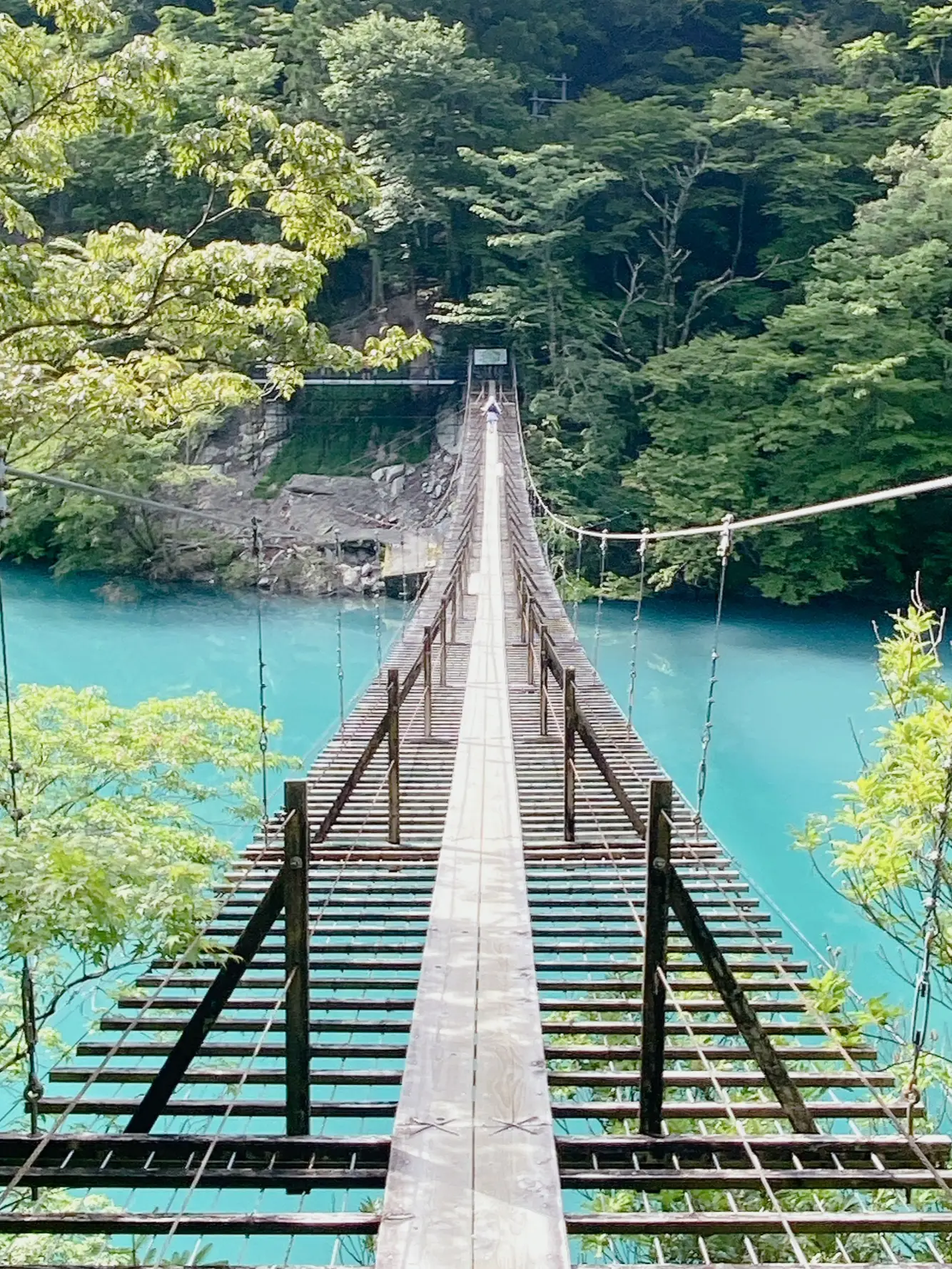 野外露出 吊り橋 2024年の吊り橋愛知県のアイデア19選