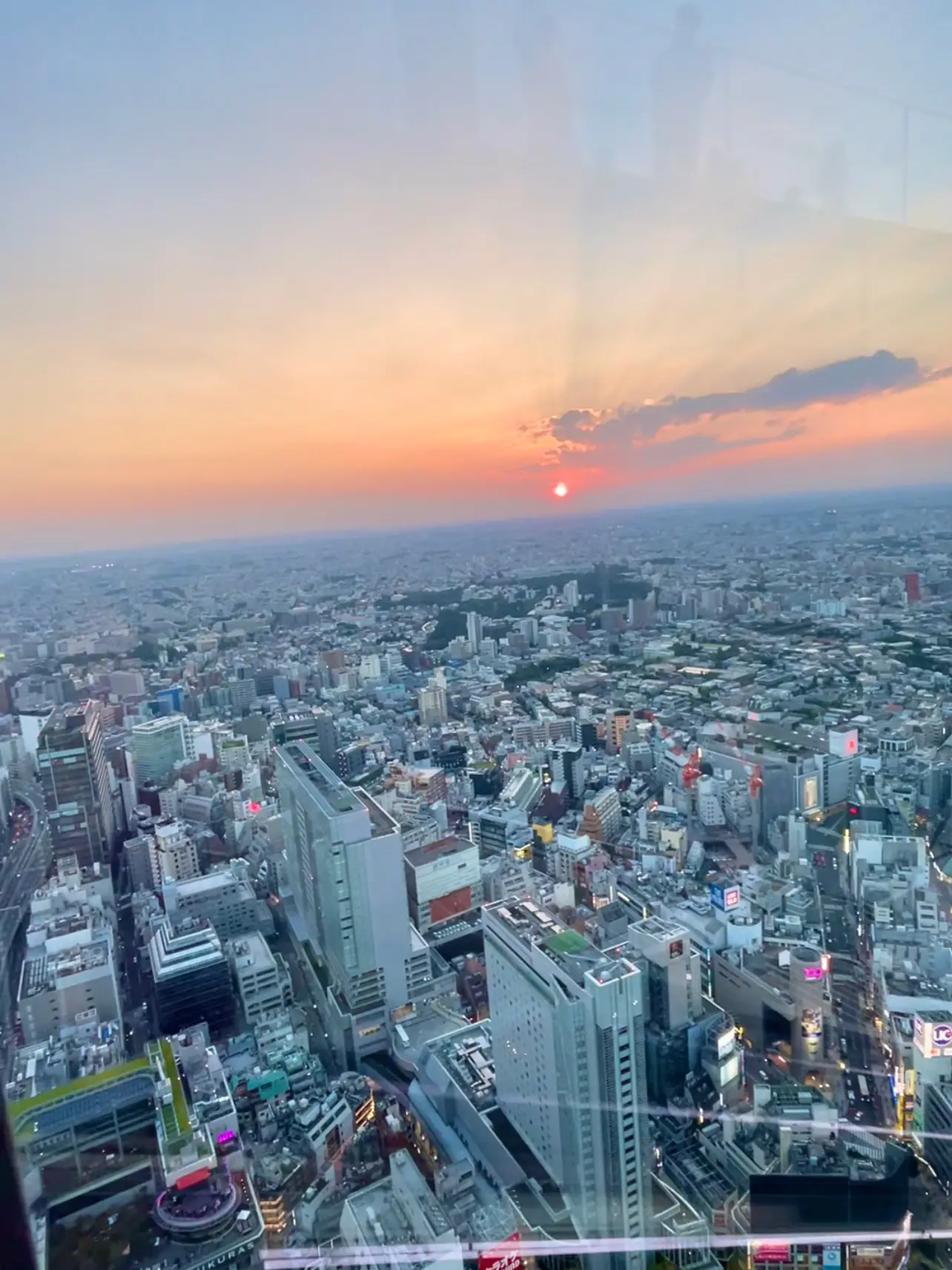 暑さを避けて夕方から【渋谷スカイ】今年の夏は夕日デートで | 西村華