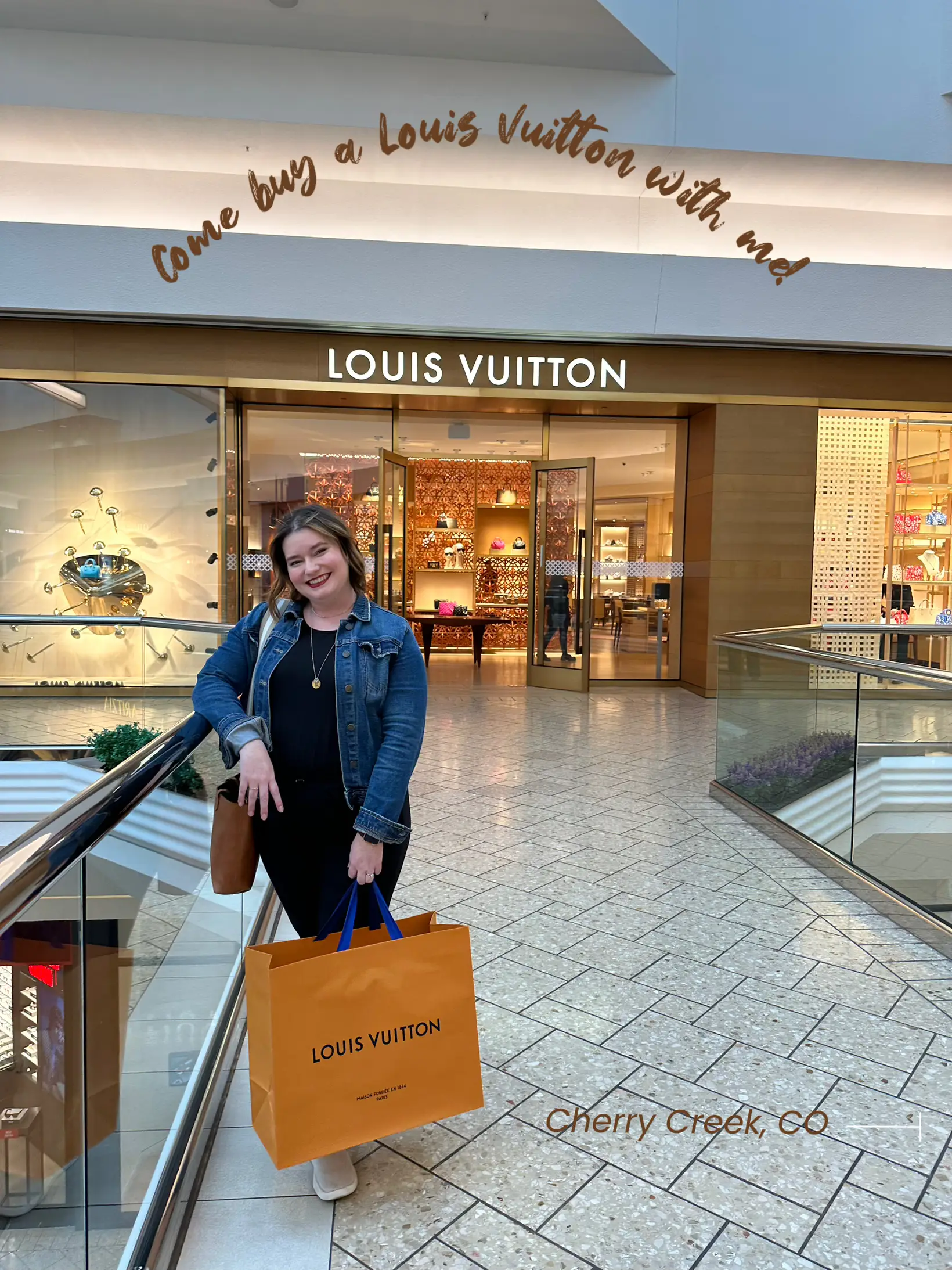 Louis Vuitton Airplane Bag Buying