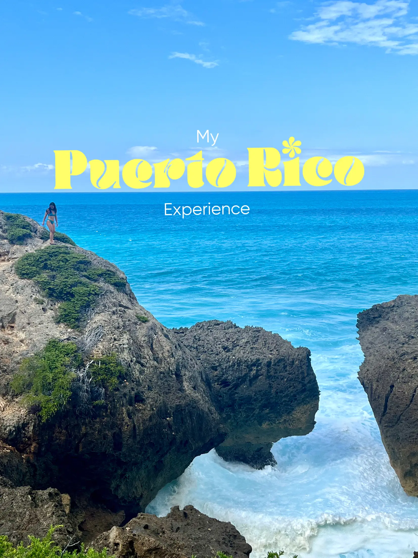 FAVORITES FROM PUERTO RICO | Gallery posted by Meagan | Lemon8