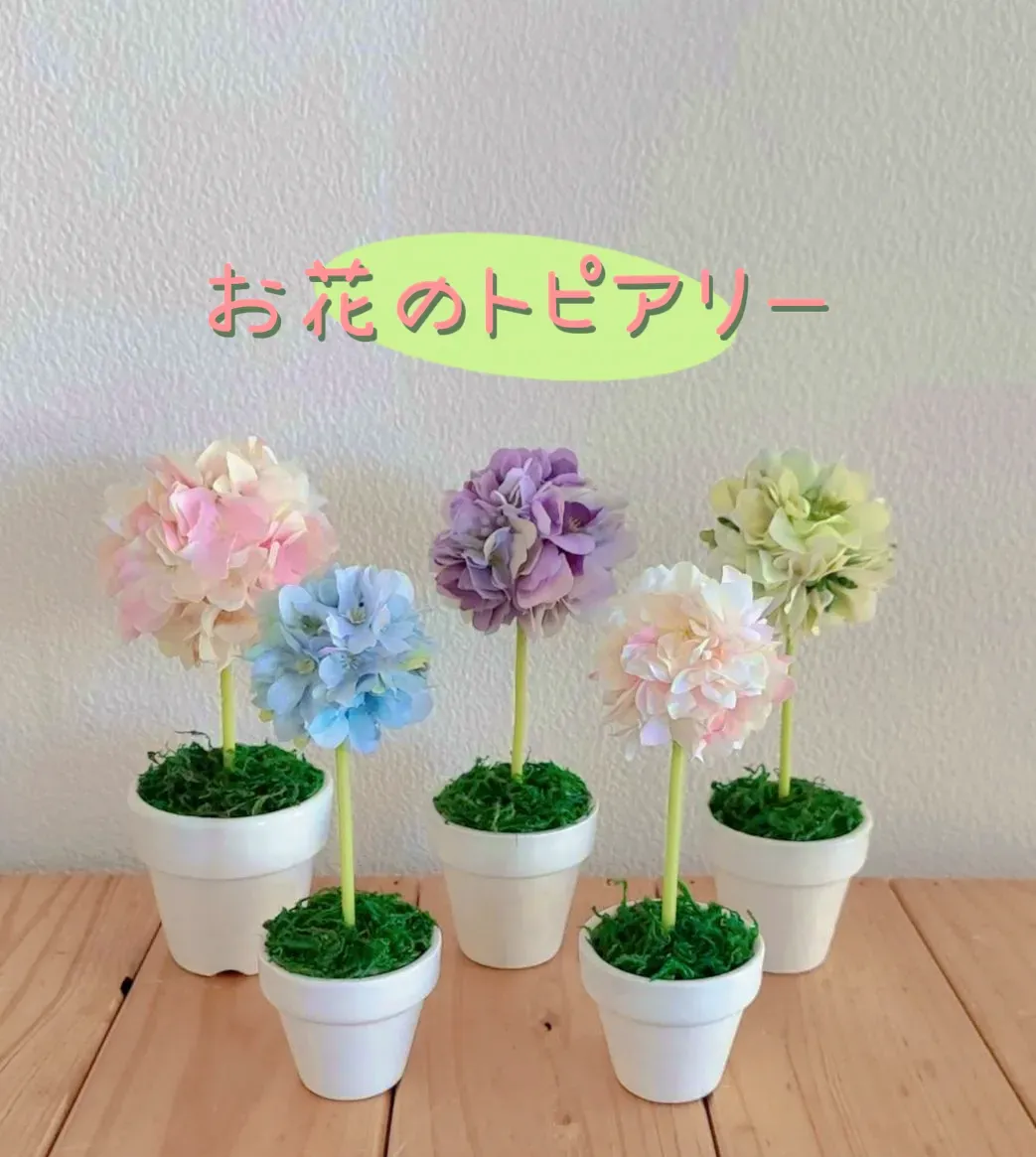 お花のトピアリー♪ | Be Mineが投稿したフォトブック | Lemon8