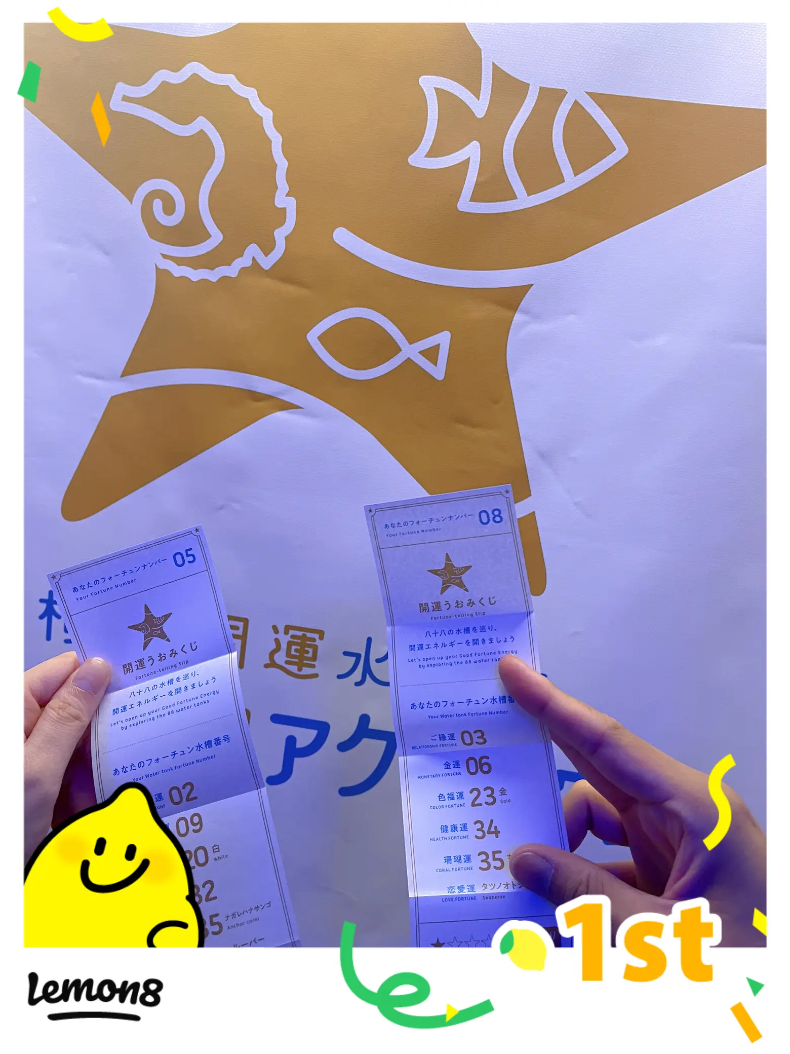 リピート様用開運占い札 15枚