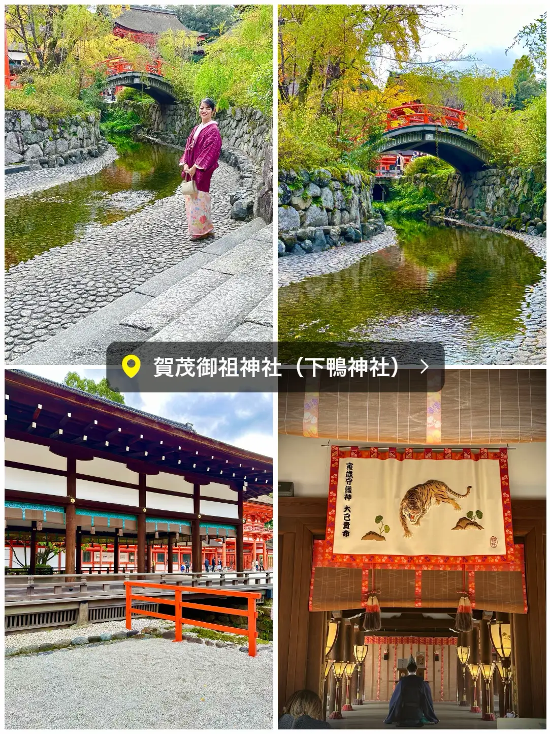 京都府〜年末年始に行ってほしいパワスポ世界遺産 | りな 和の旅巡りが投稿したフォトブック | Lemon8