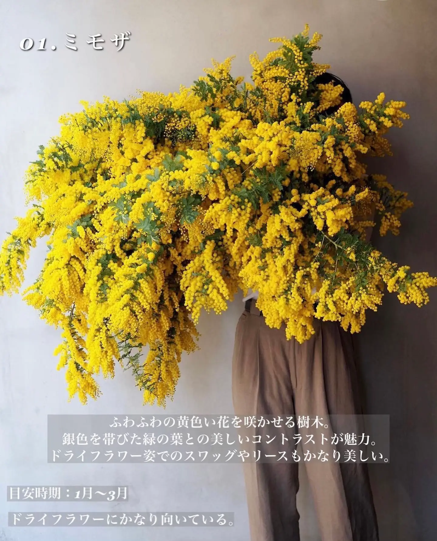 【HOT人気】日本の草花を合わせた特大スワッグ/生花/ドライフラワー/針葉樹/お正月 フラワー・リース