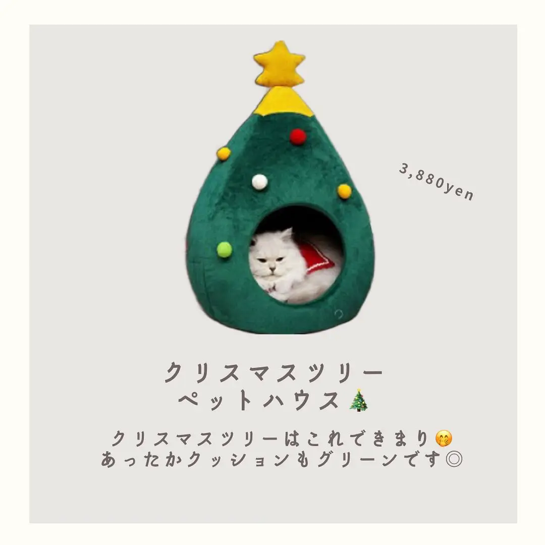 愛猫クリスマスグッズ🎄 | nio@猫飼OLが投稿したフォトブック | Lemon8