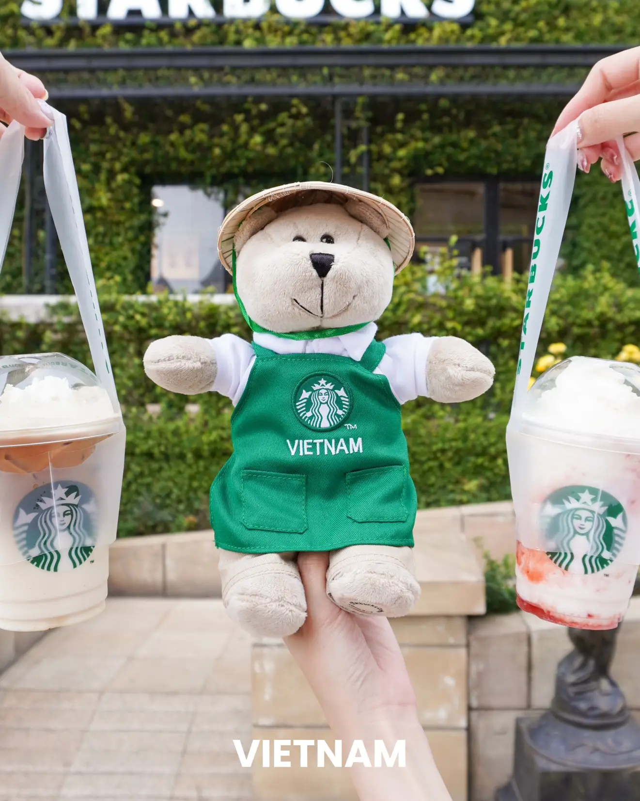【Starbucks】ベアリスタ　ぬいぐるみ　ベトナム限定