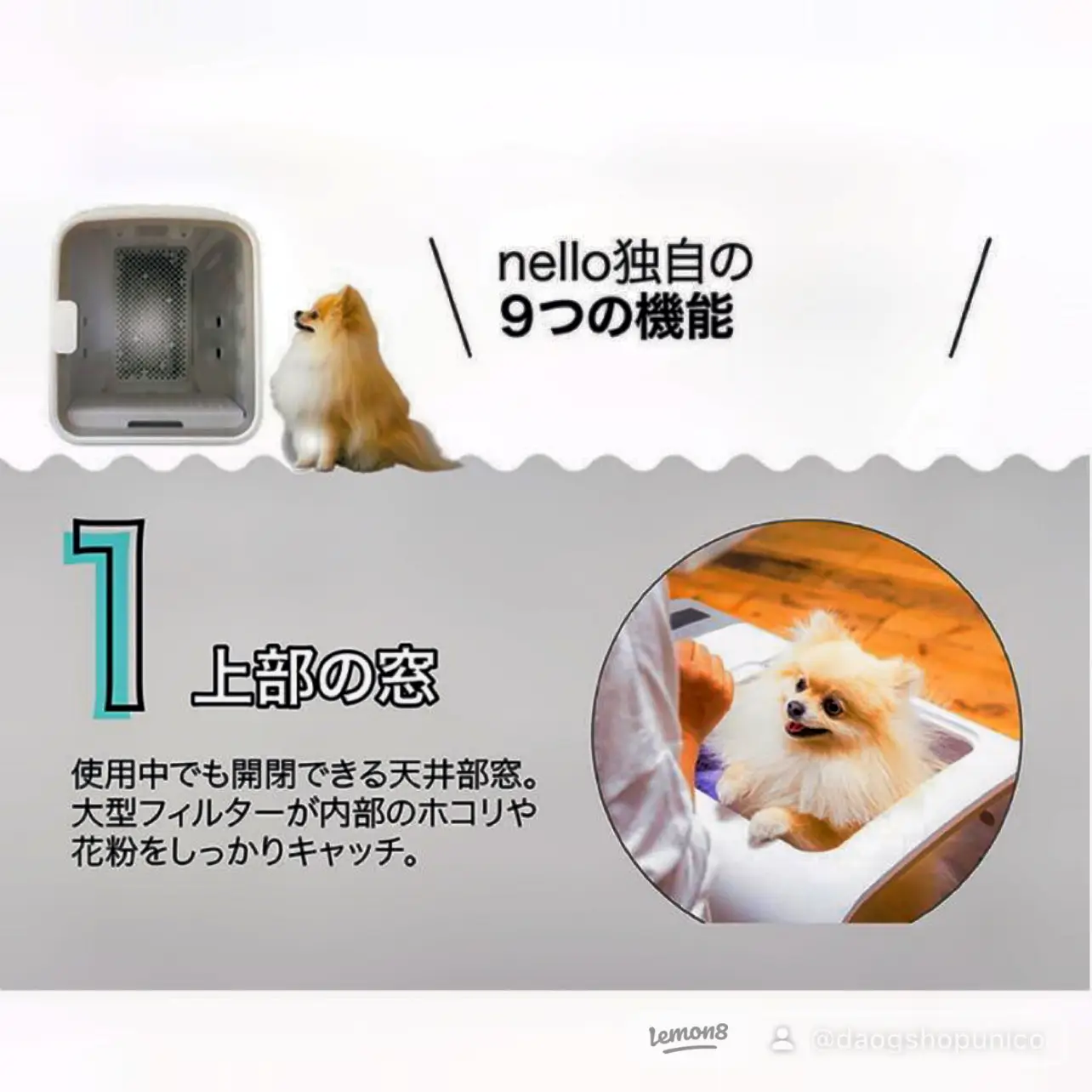 犬シャンプー台 Lemon8検索