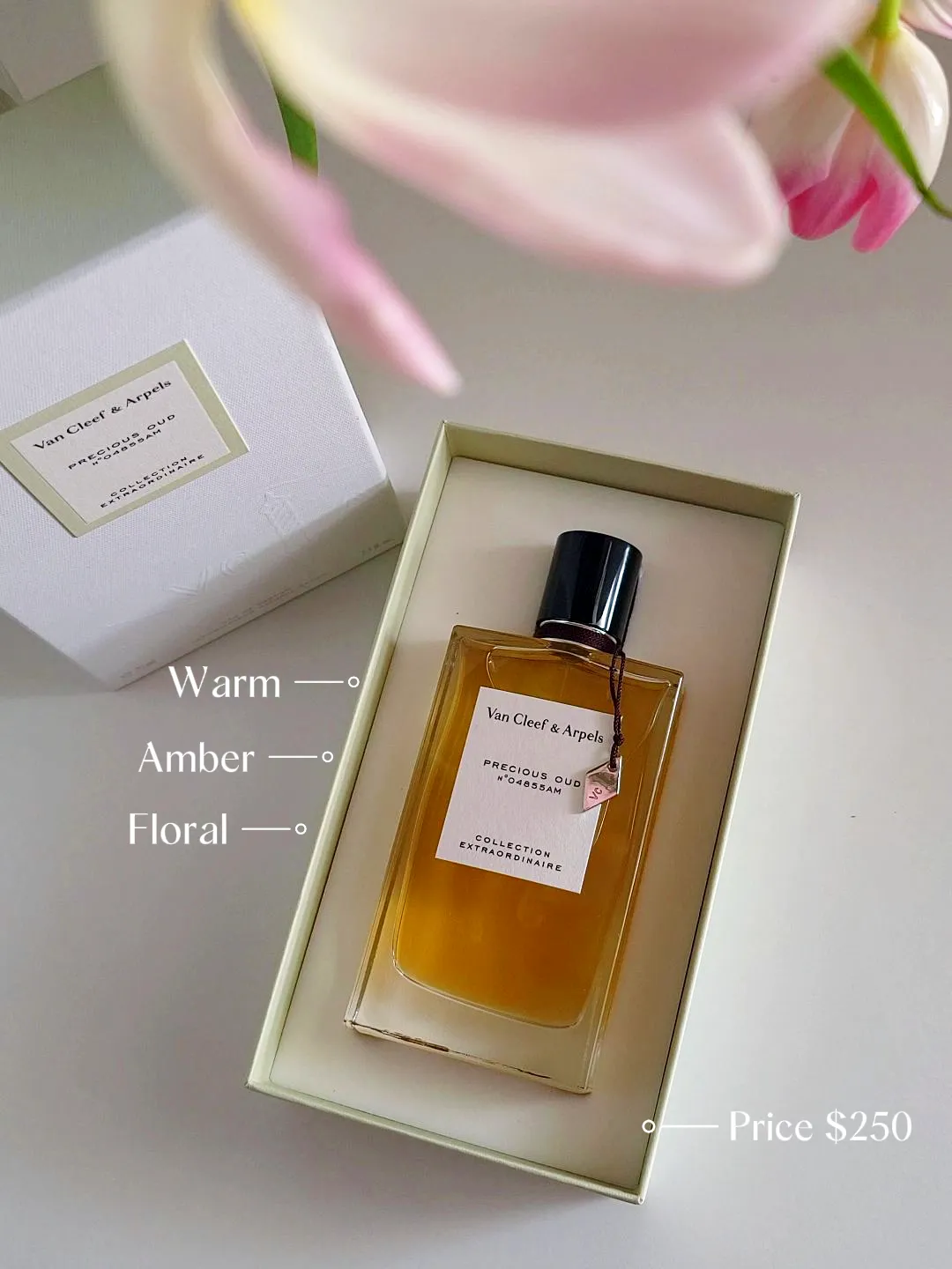 Van cleef & online arpels perfume precious oud