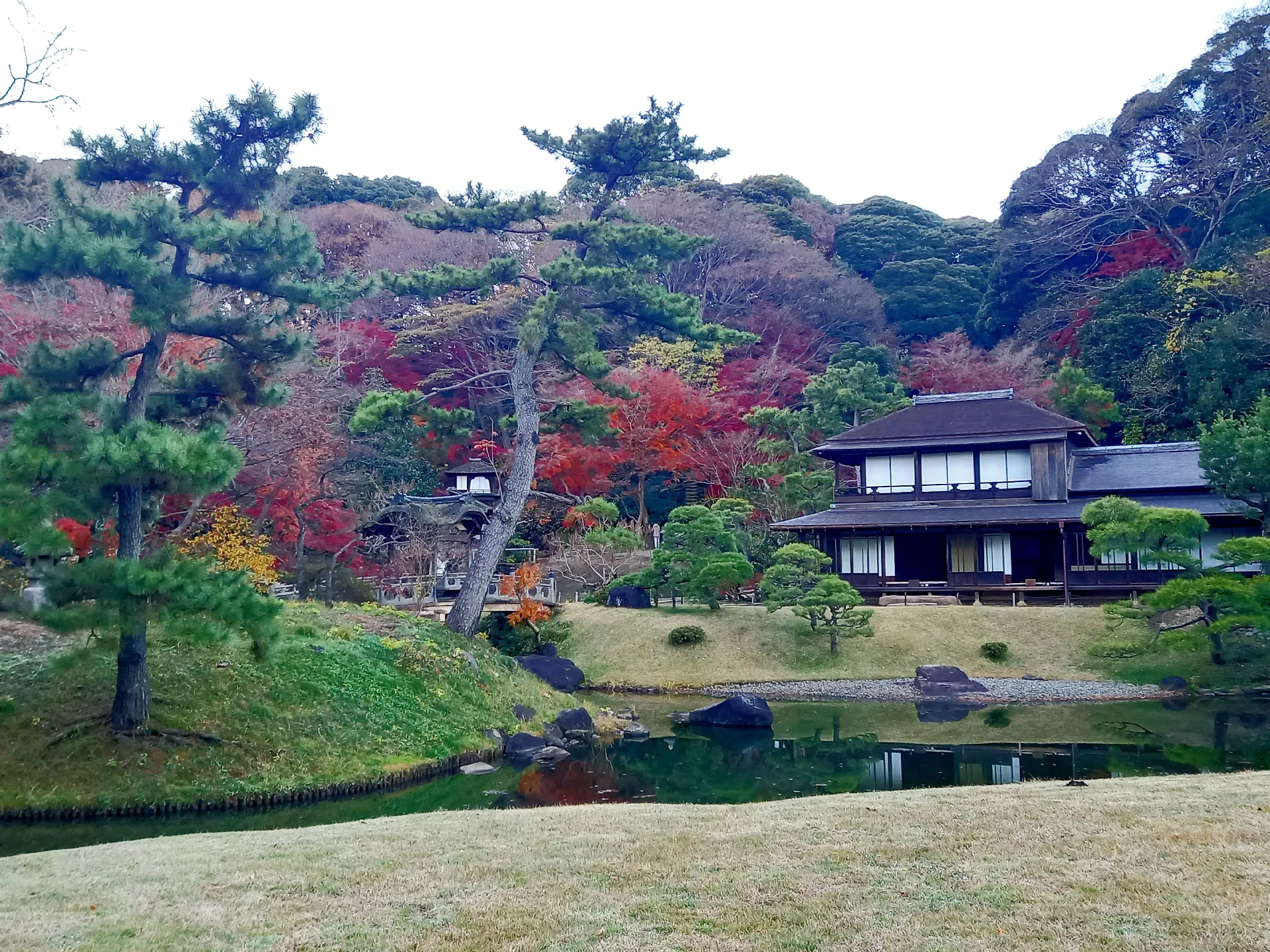 2024年の三溪園 紅葉のアイデア19選