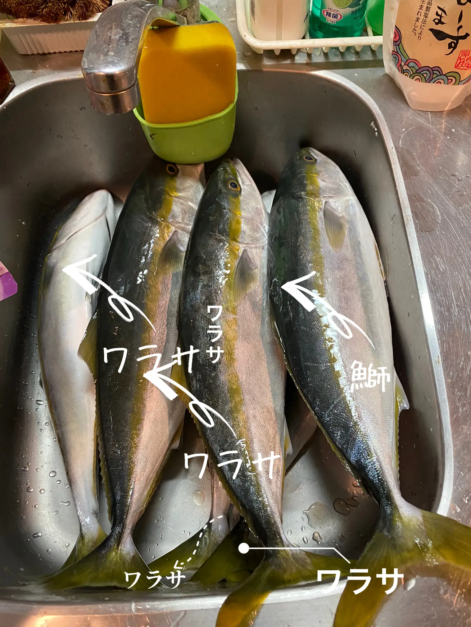 点心振舞 つる幸 河田三朗 点心振舞 ◉つる幸 - 本