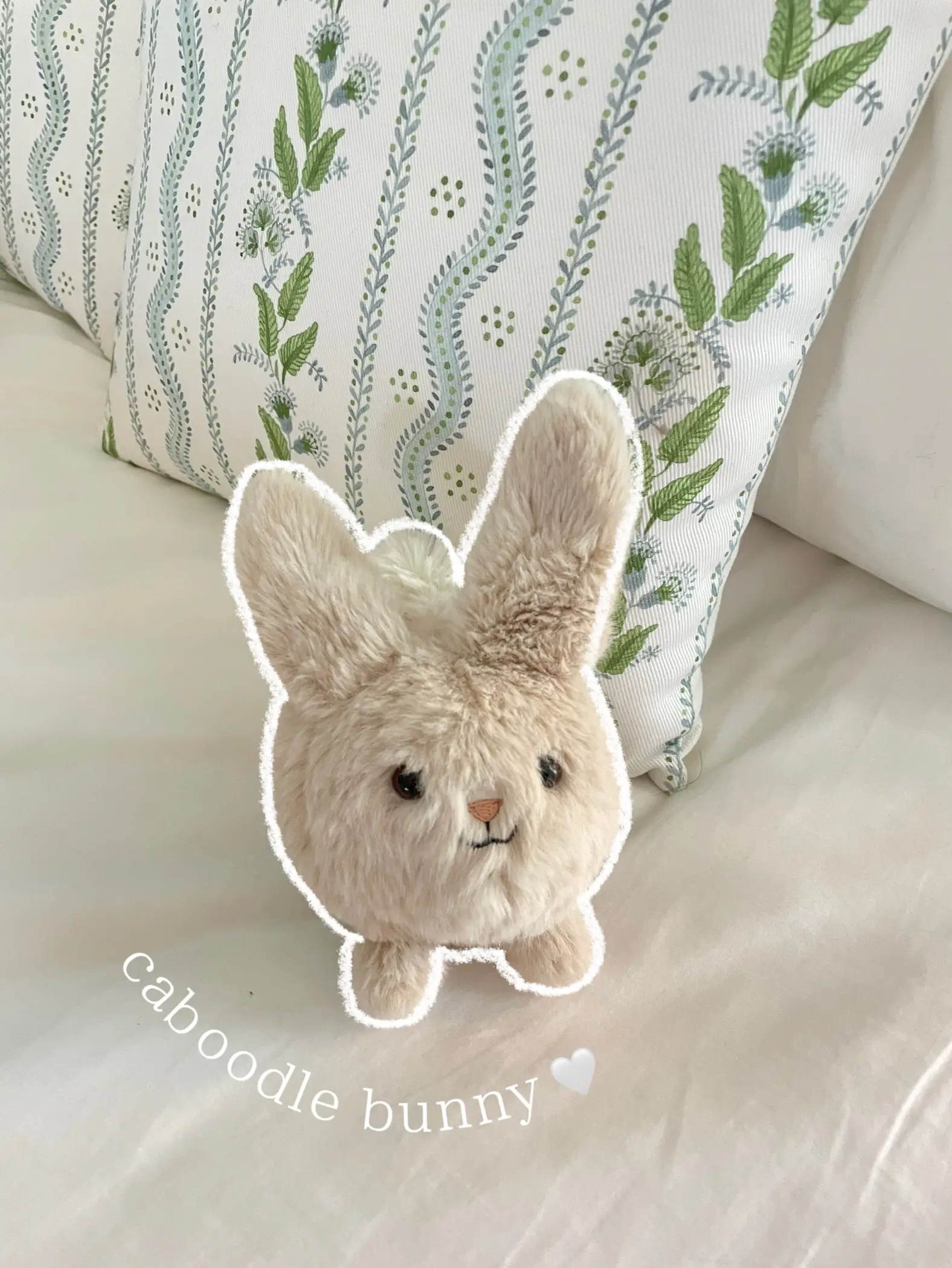 Caboodle Bunny