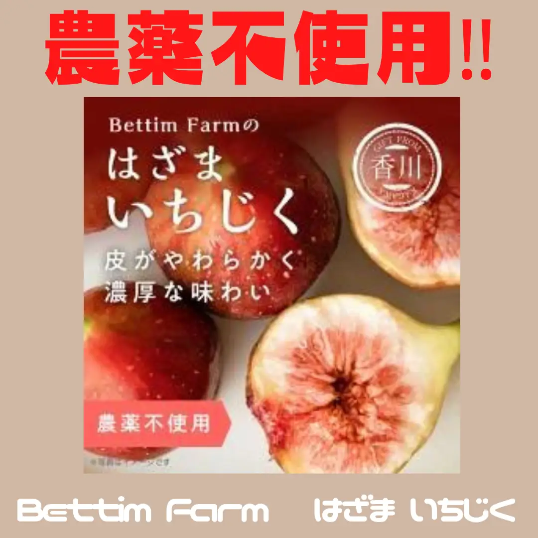 農薬不使用❗️以上‼️ | kinacoが投稿したフォトブック | Lemon8