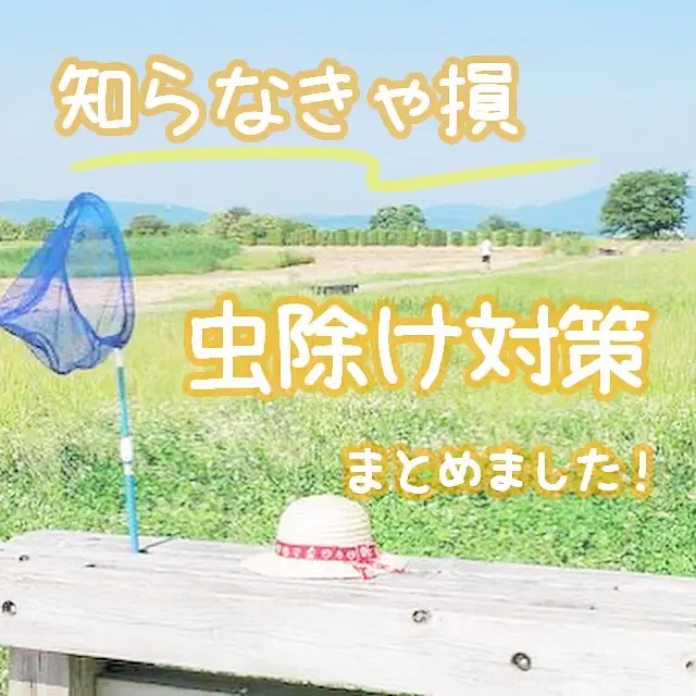 虫除けの裏ワザあり🧡工夫して夏乗り越えようね🔥🔥 | ぷっぷまるが