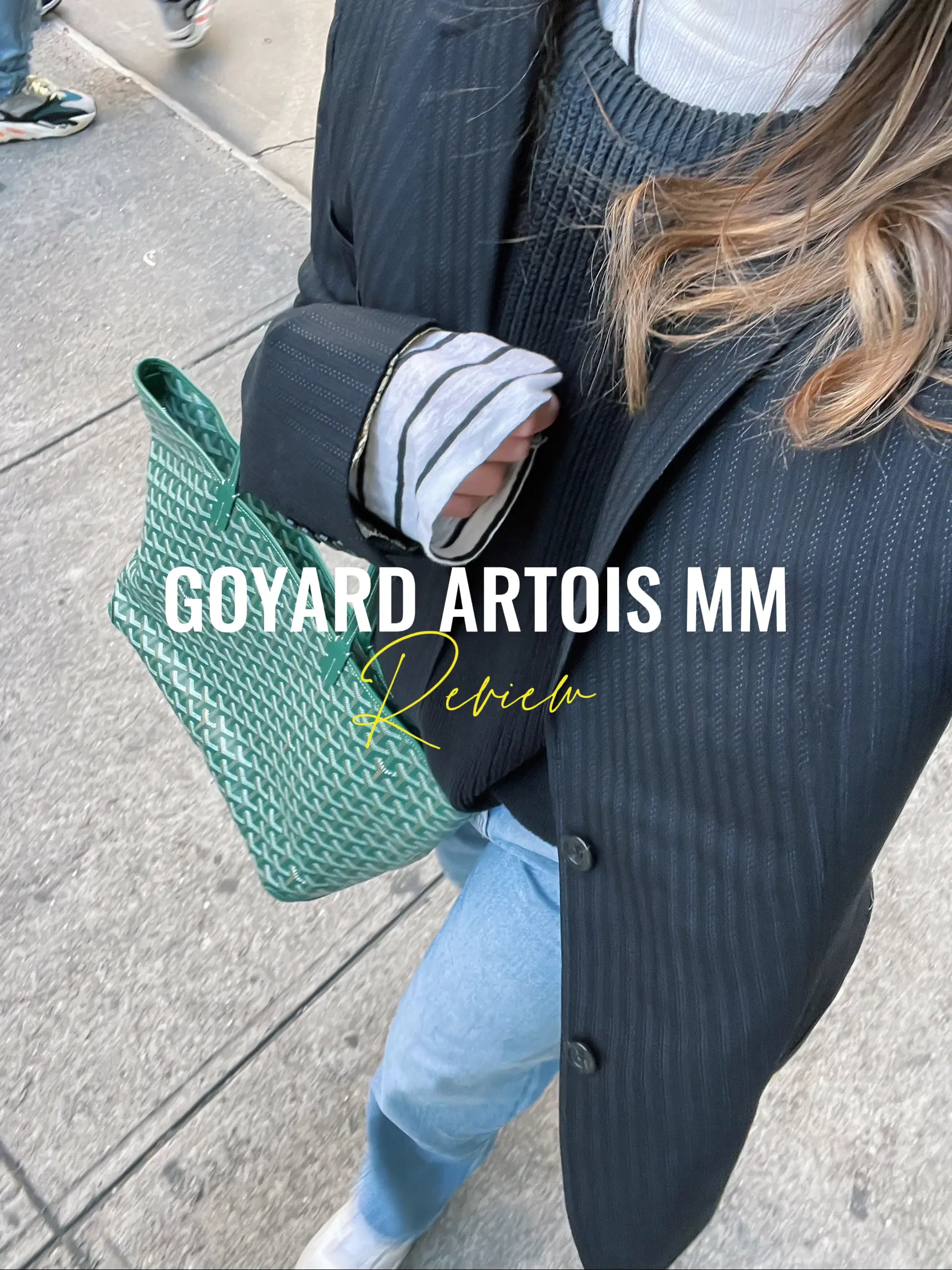 My full review on the Goyard Artois MM in green!