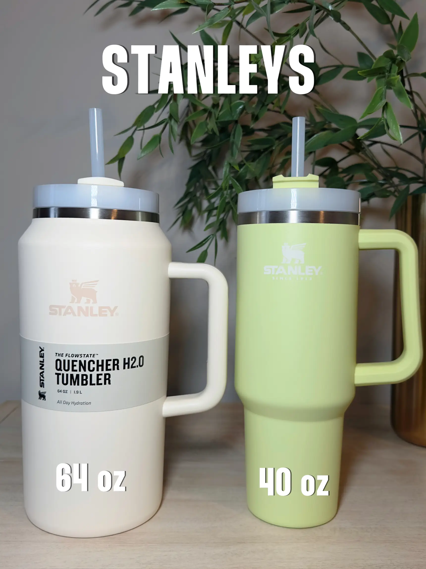 SIZE COMPARISON NEW 64OZ STANLEY✨, Gallery posted by rachelsamford