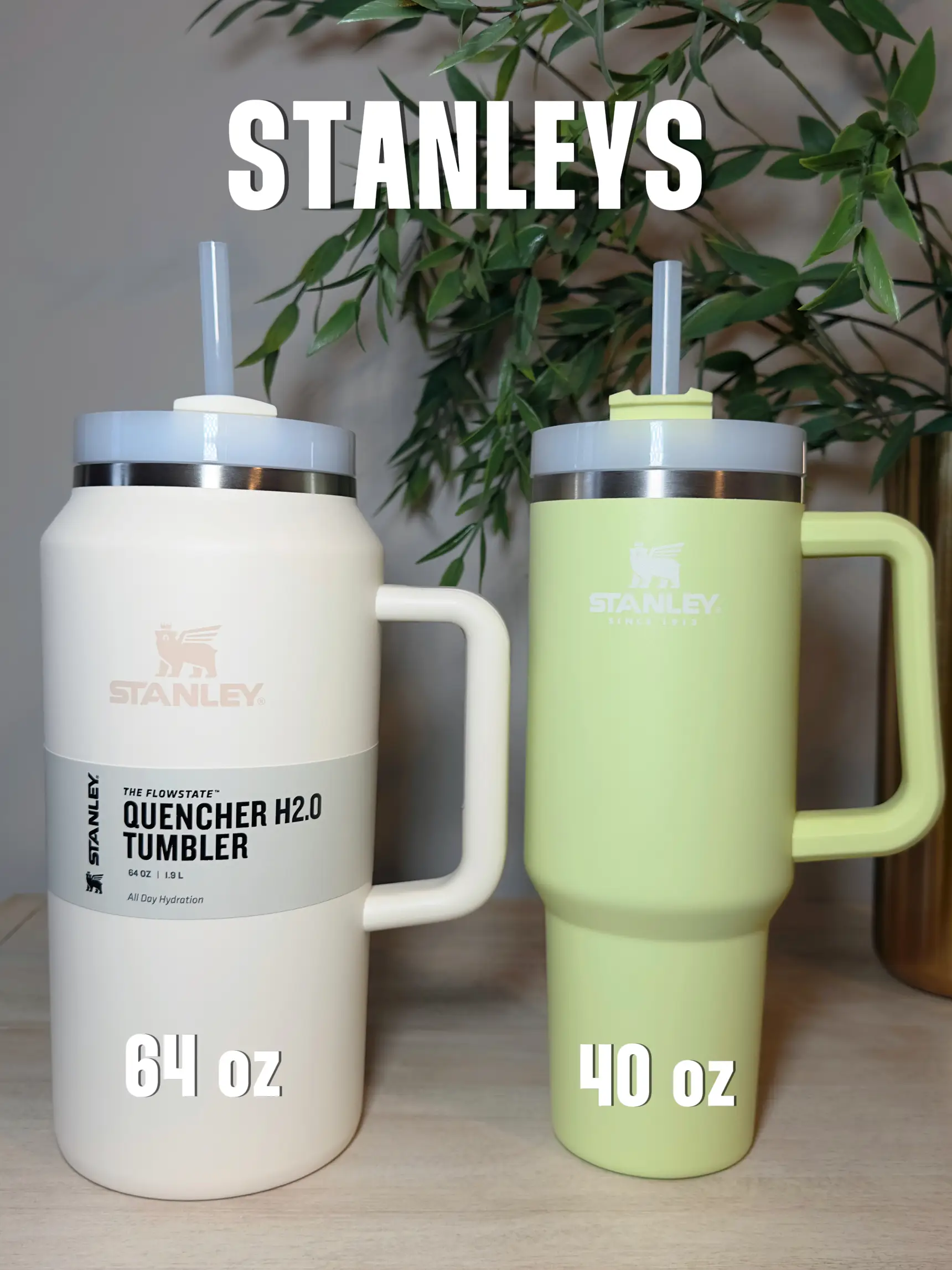 Stanley 64 oz Quencher H2.0 FlowState Tumbler