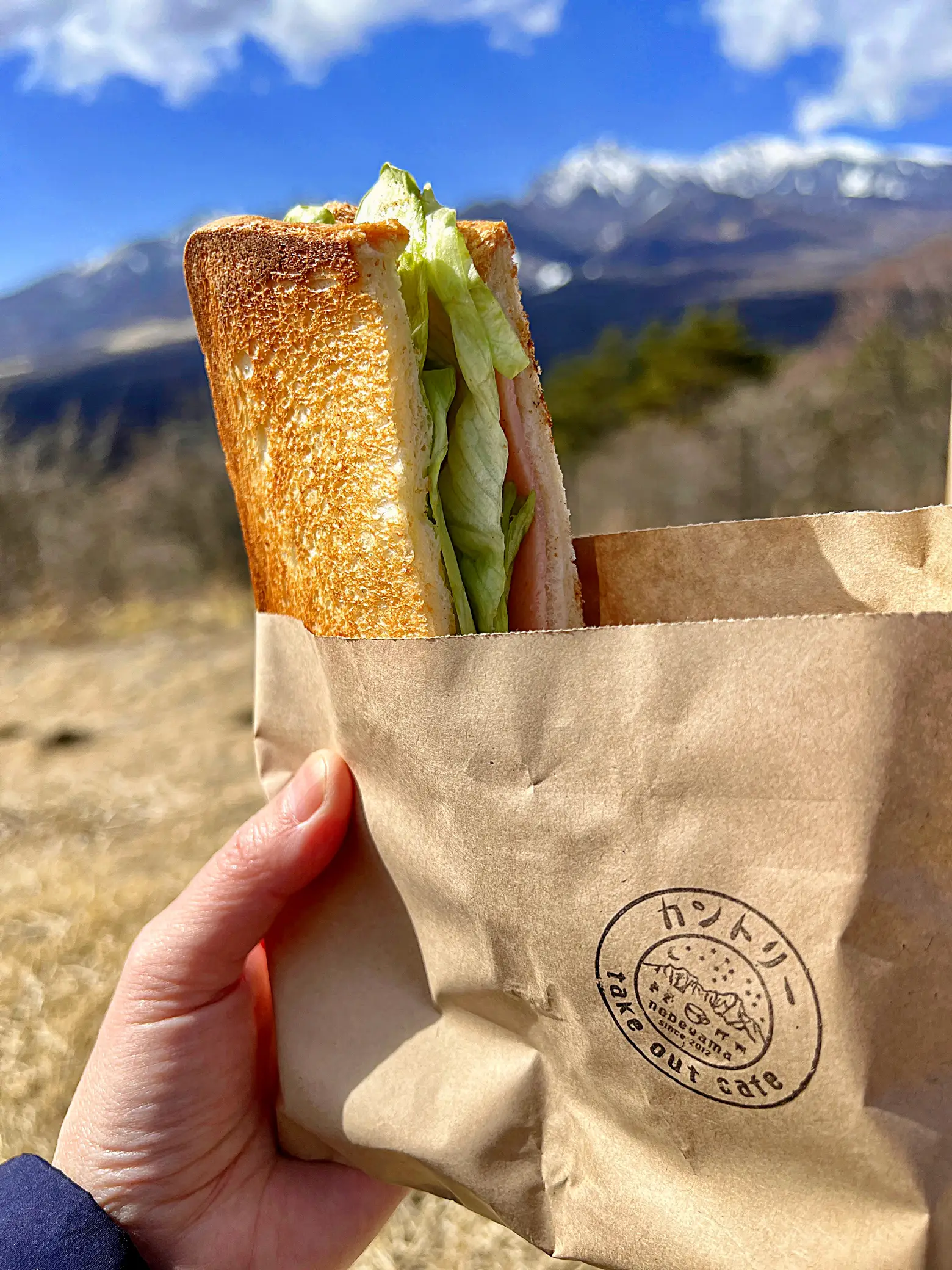 昭和レトロ 当時物 アイスクリーム しまかげ アイスの袋 紙袋 なくっ 10枚 食品