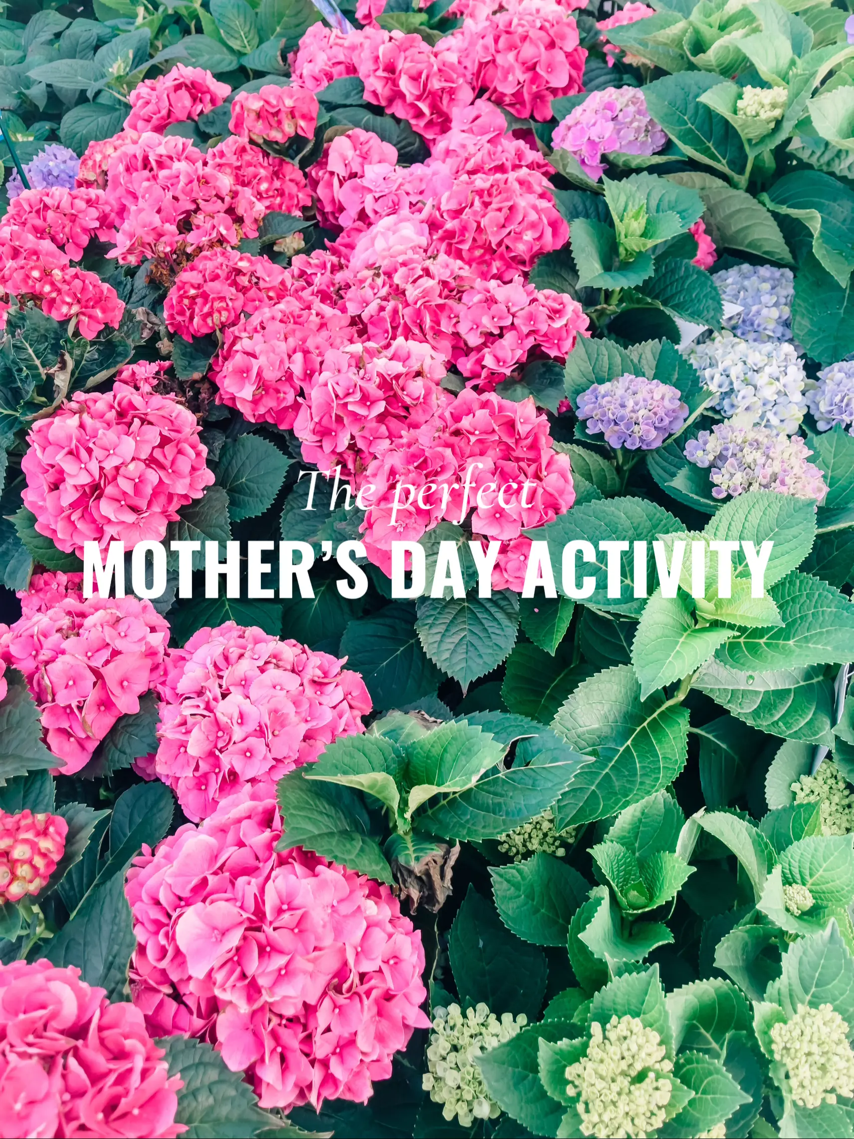 Unforgettable Experiences to Share with Mom on Mothers Day