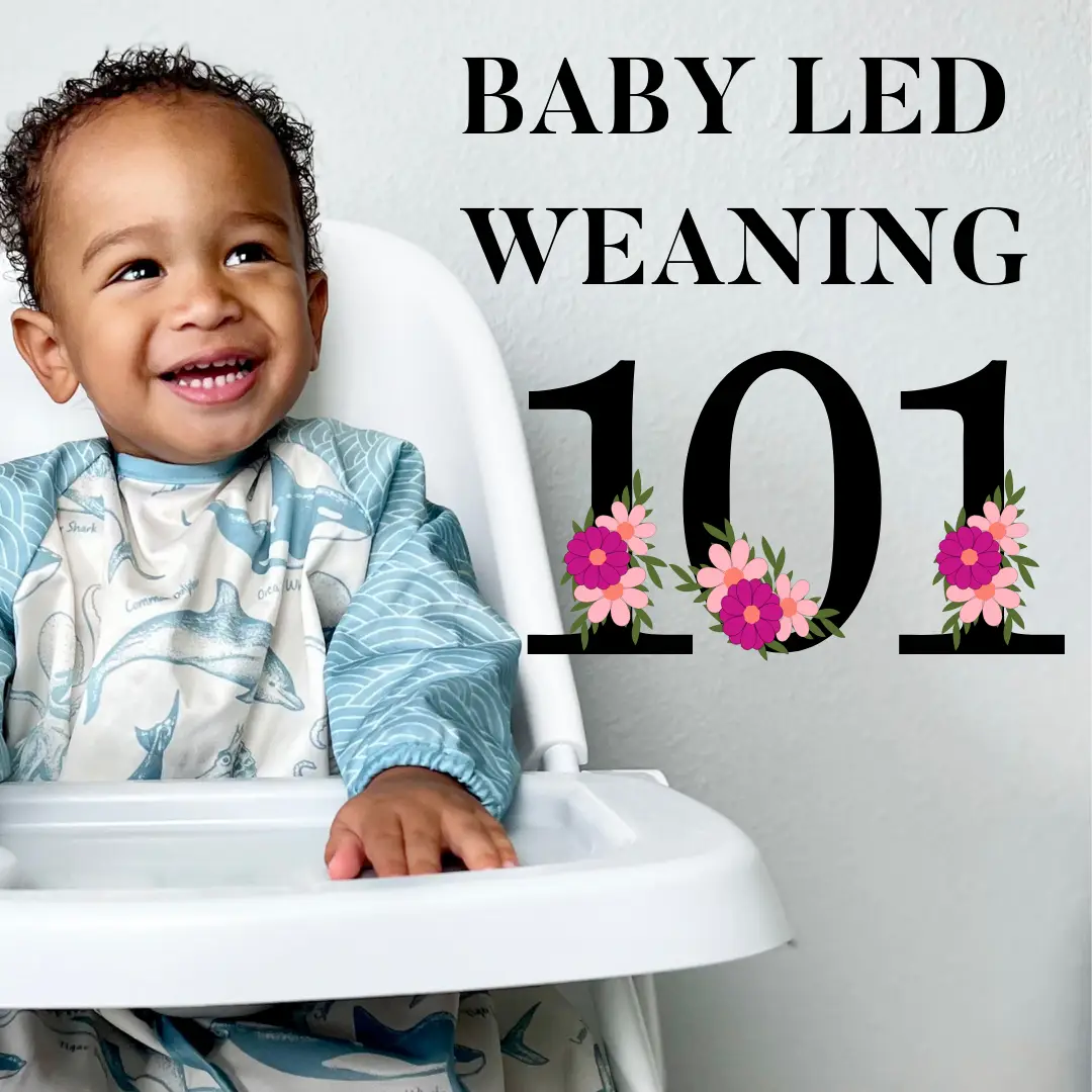 101 Foods for Baby List  Baby first foods, Baby led weaning recipes, Baby  led weaning first foods