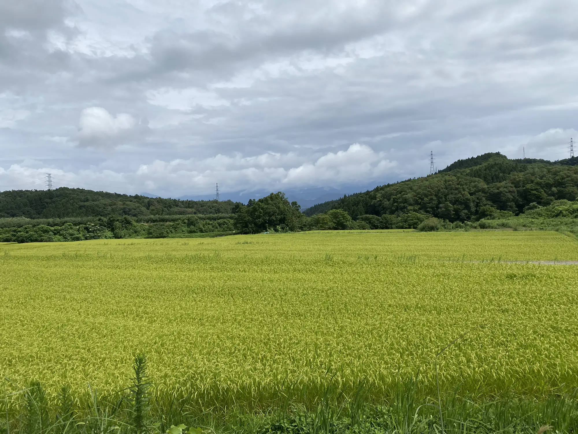 田舎の夏☀️お子も２人に🎈 | punta!が投稿したフォトブック | Lemon8