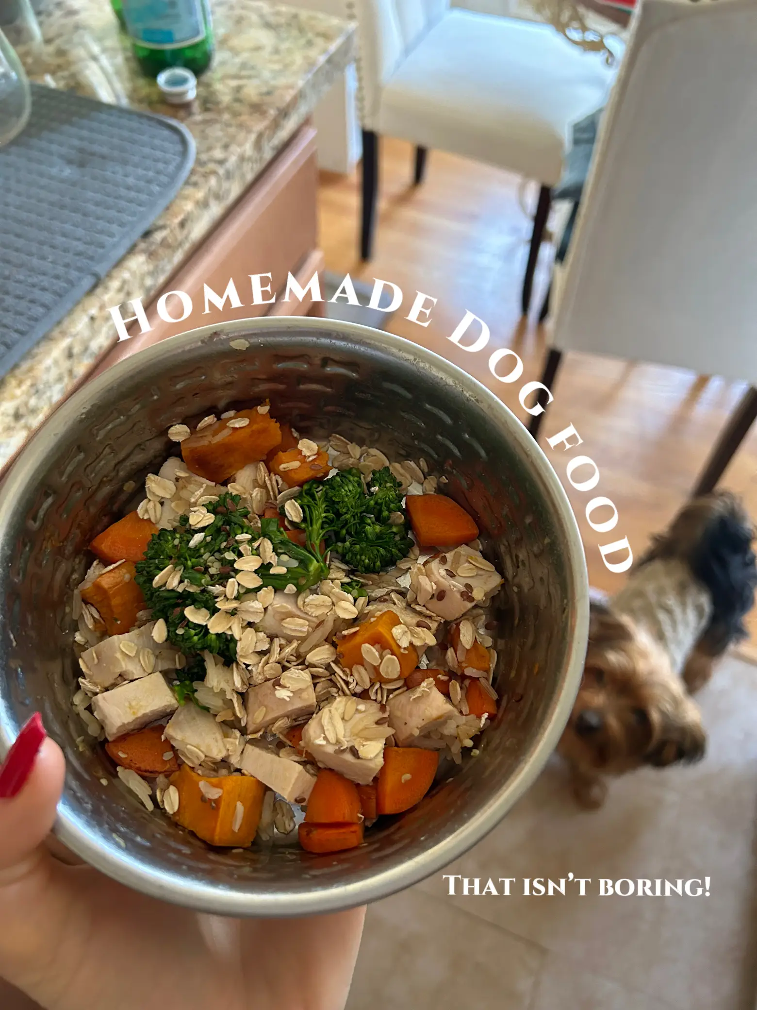 Best homemade dog clearance food recipes for yorkies